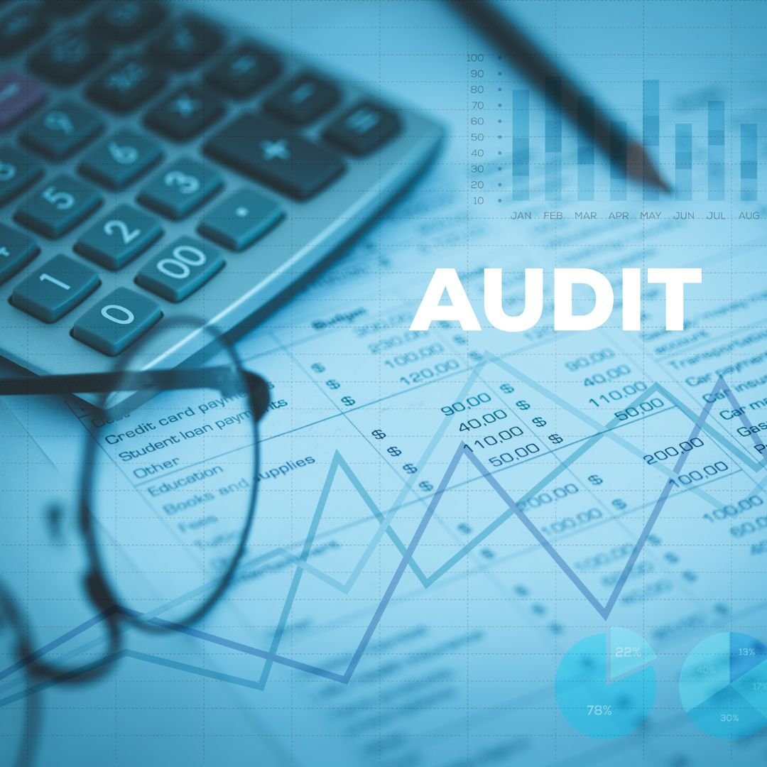 OAS Webinar: Role of Auditors