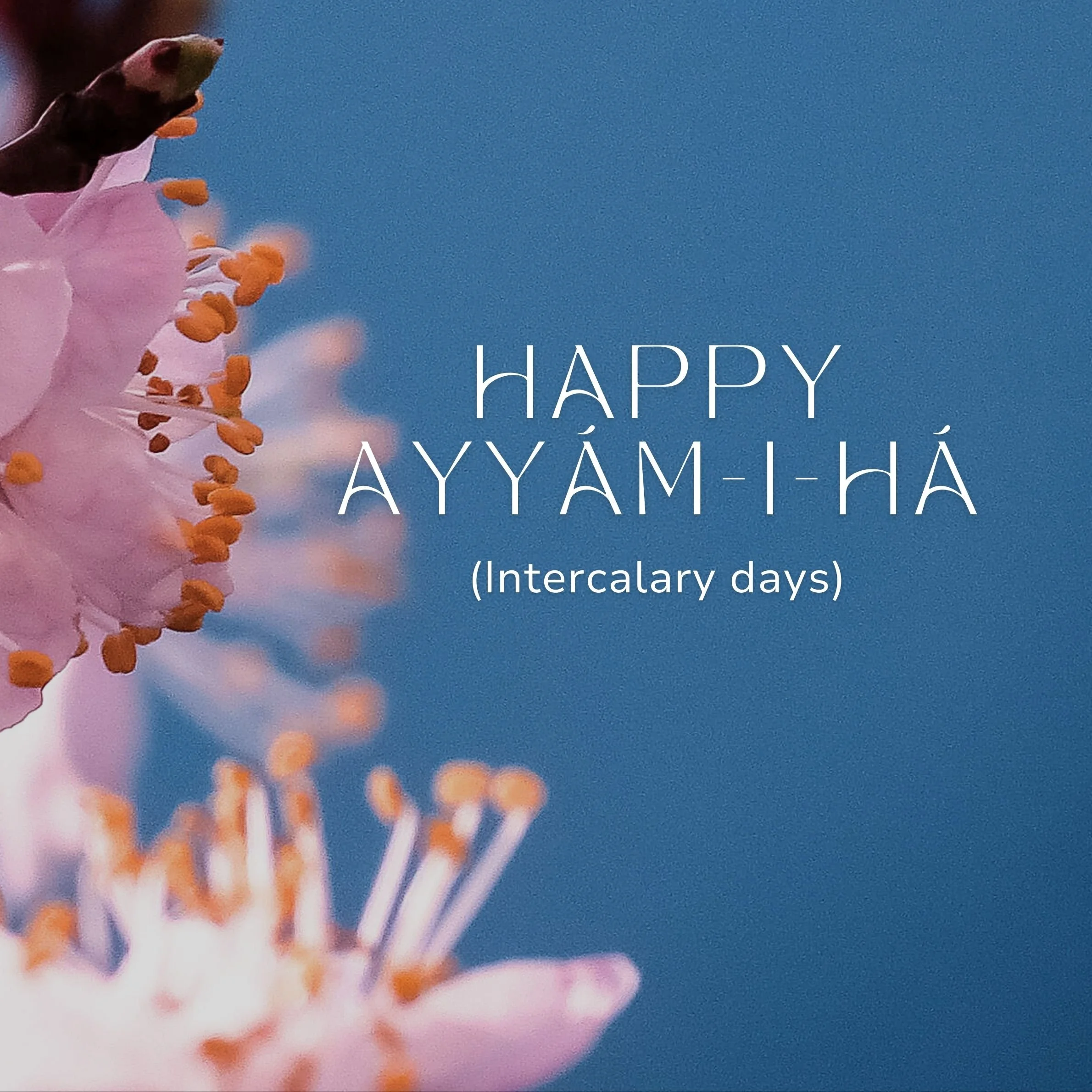 Feast of Alá’/Loftiness-March 1, 2026