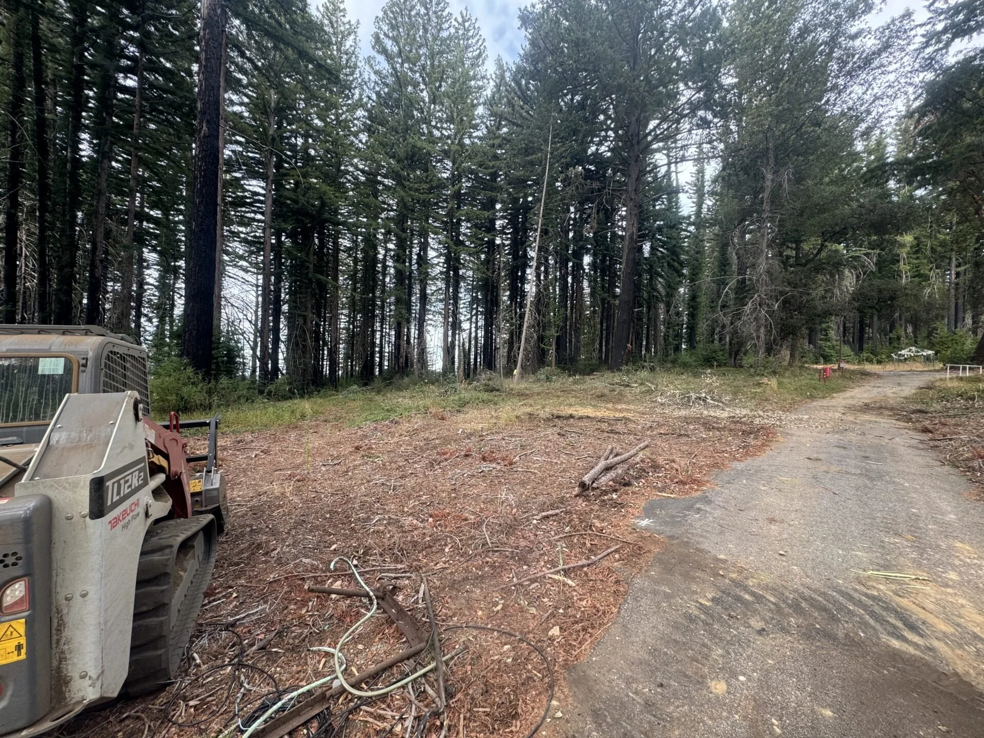 CLEARING A PATH.jpg