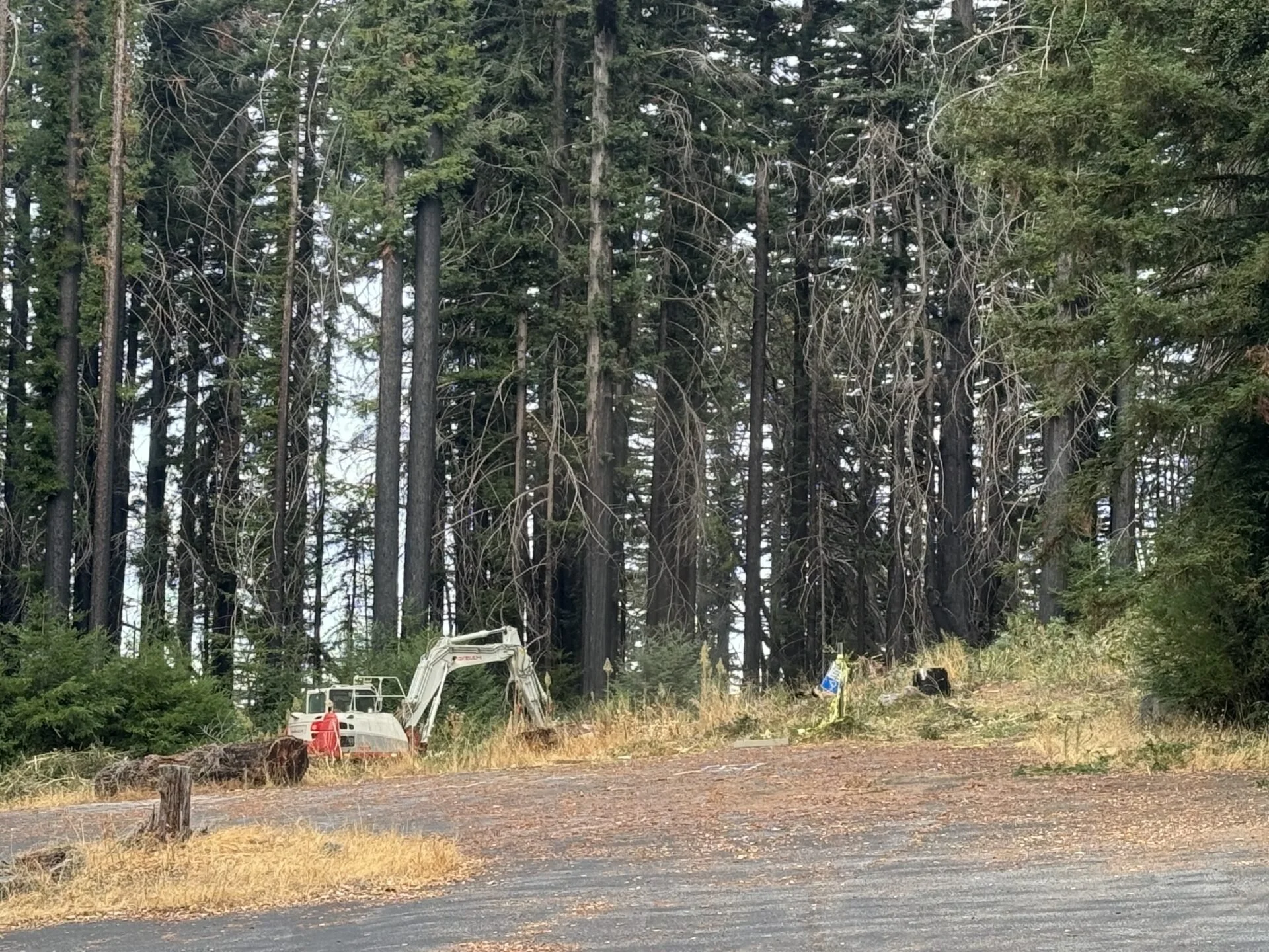 BREAKING GROUND.jpg