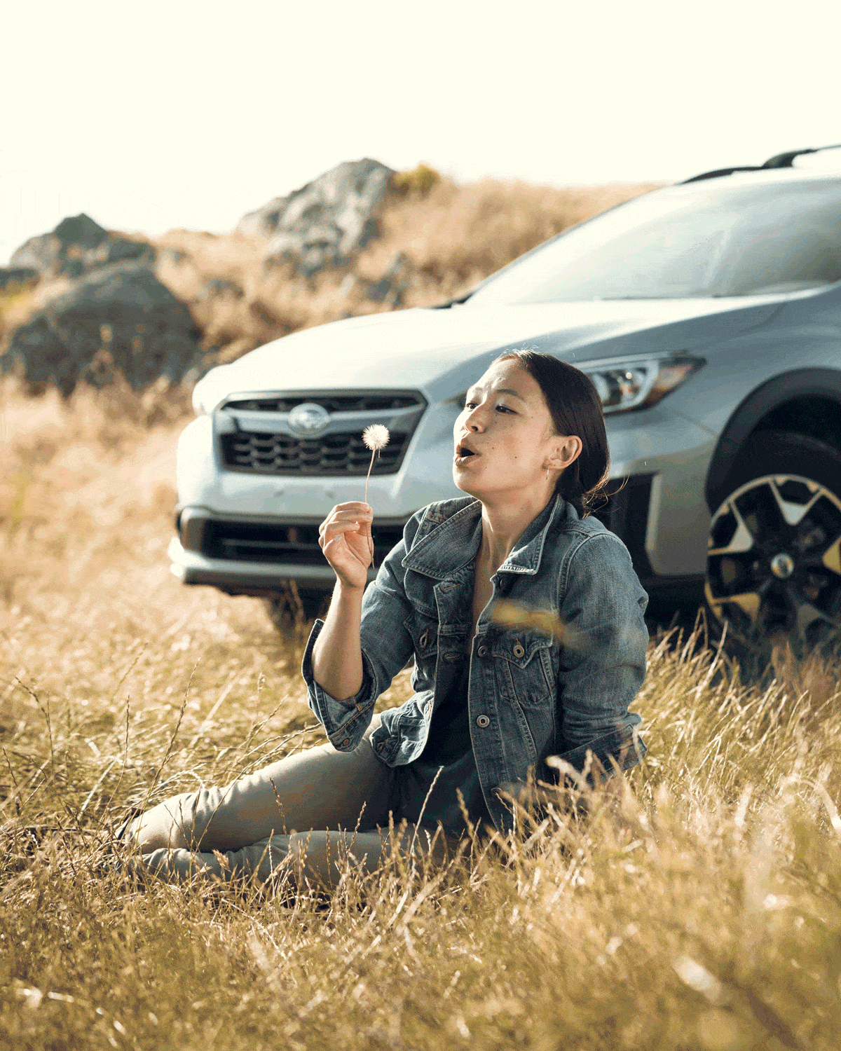 subaru dandelion small.gif