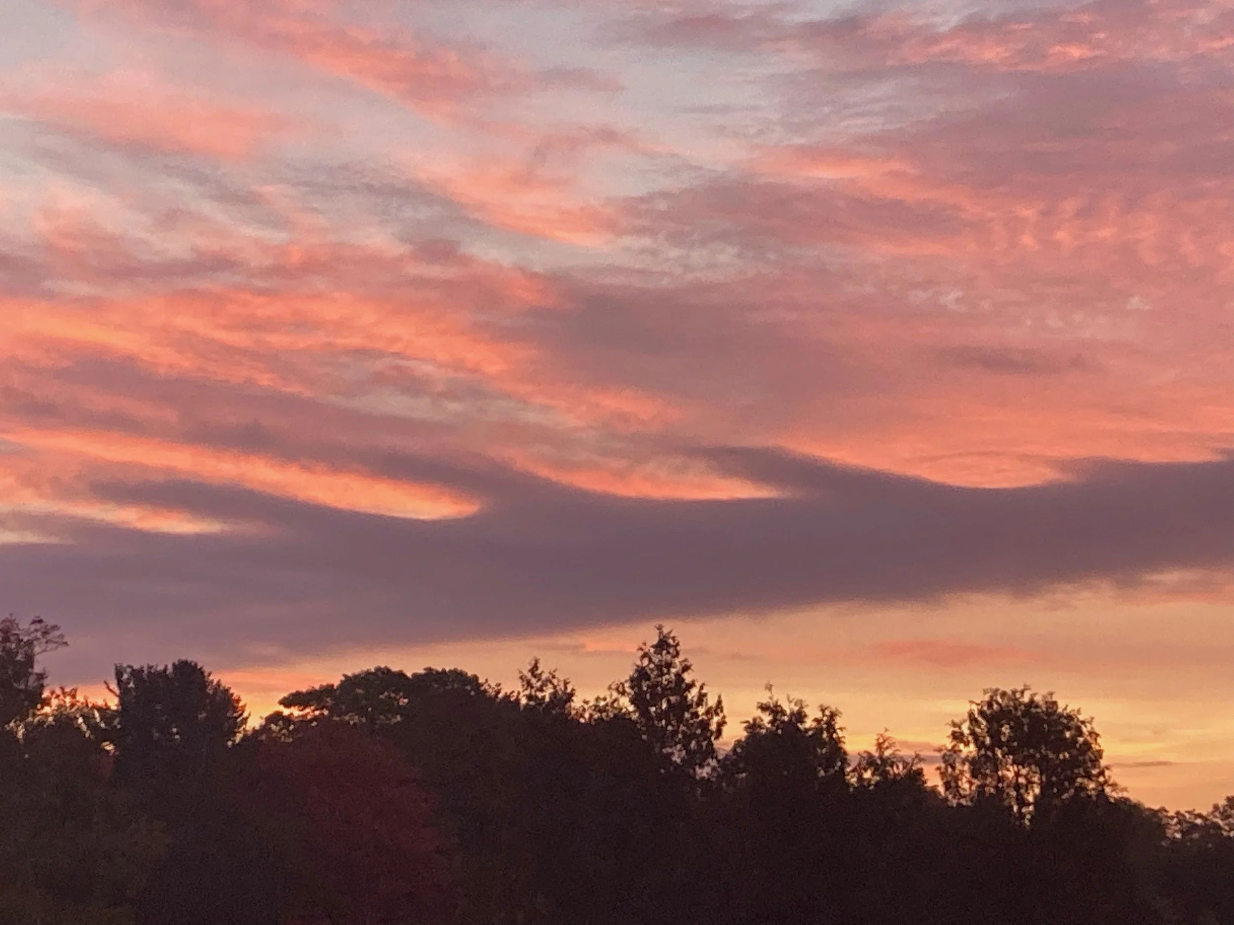 December 17 , 2023 - Gaudete Sunday