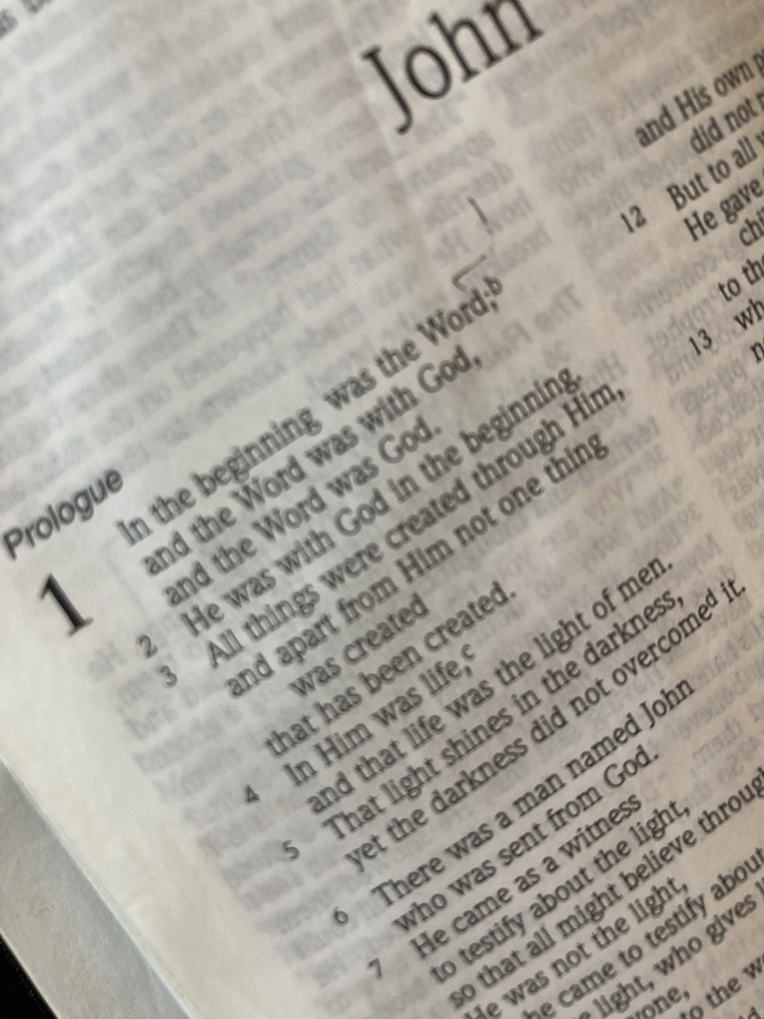 Abide in Me - Reflection on the Gospel of John