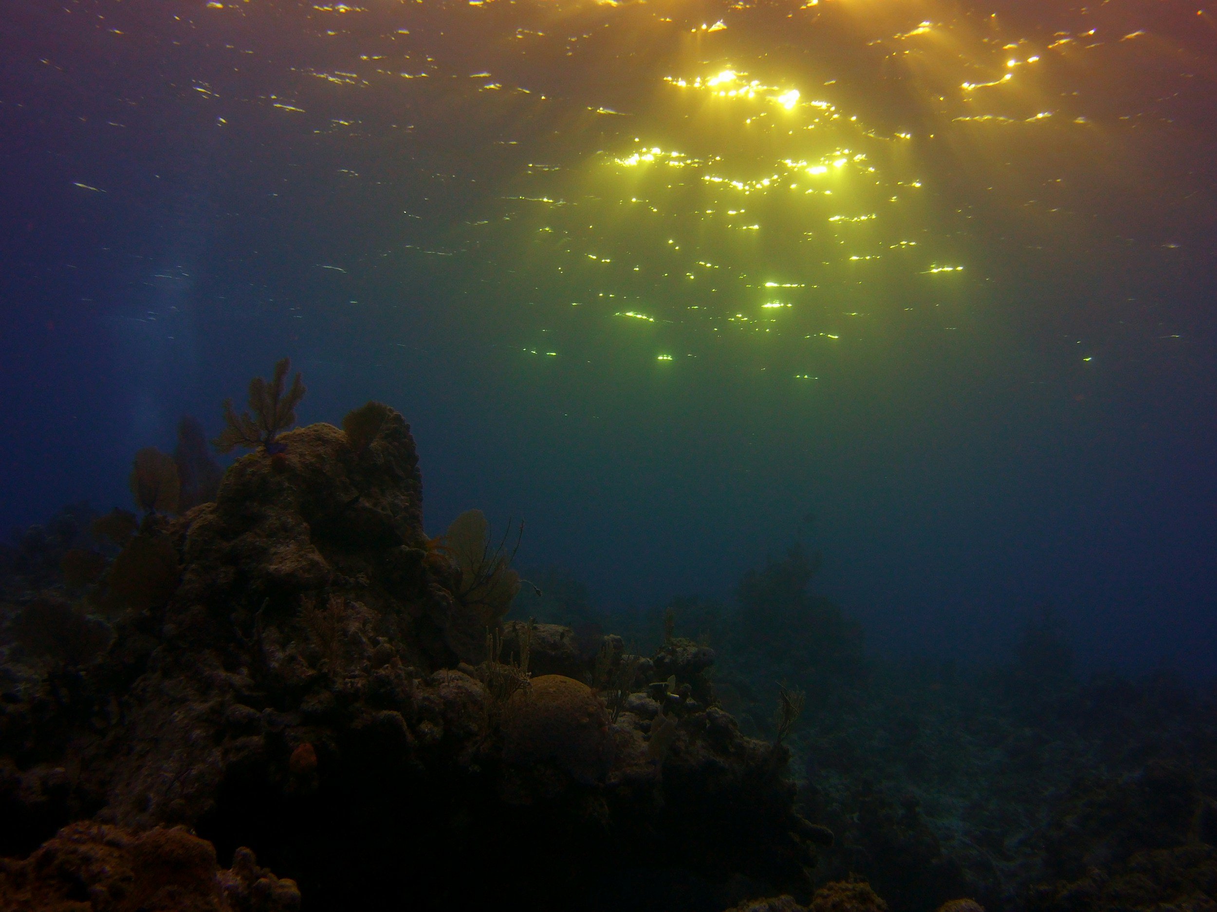 For All the Saints- Sermon for November 3, 2024 