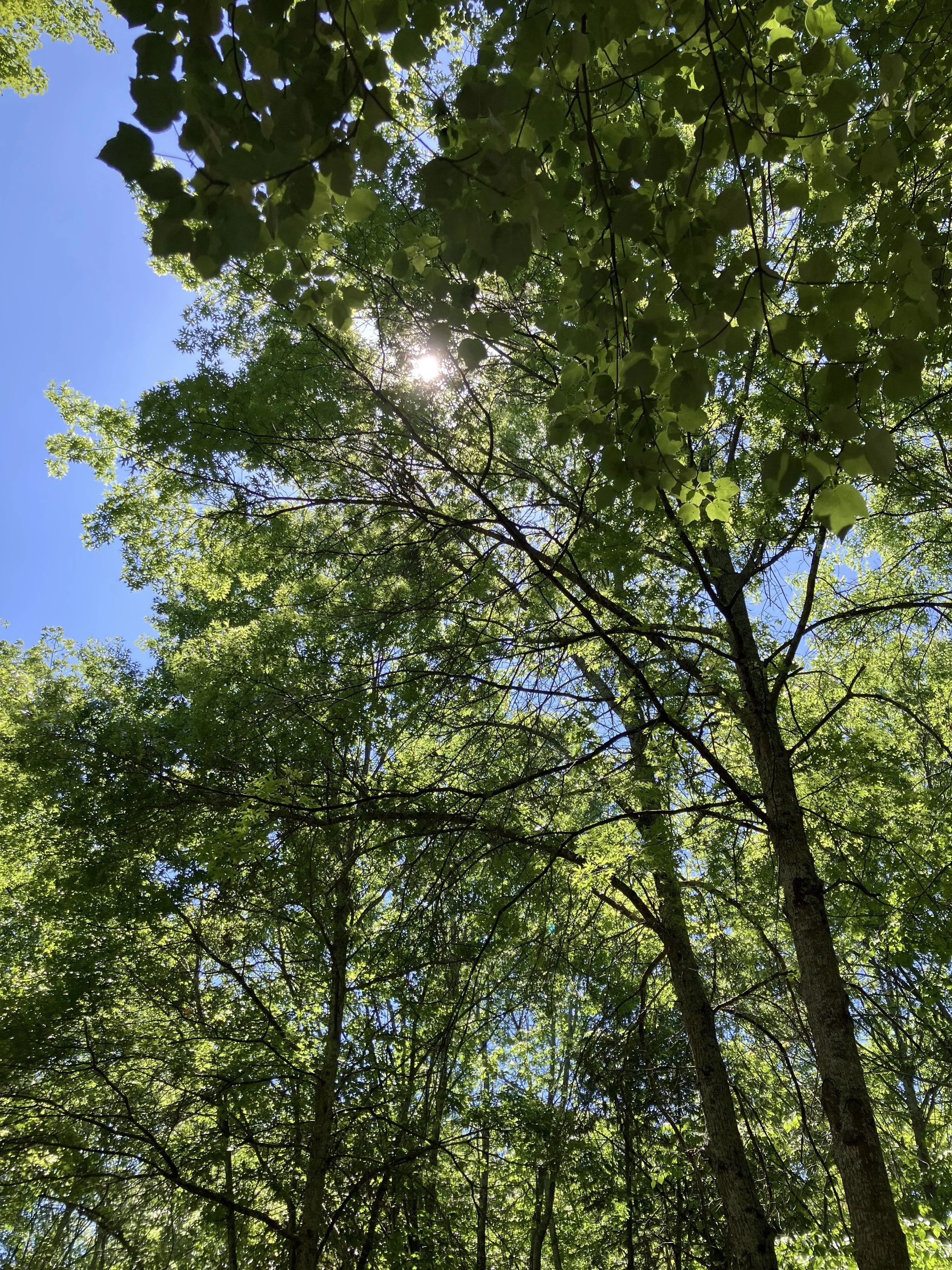 The Value of Rest