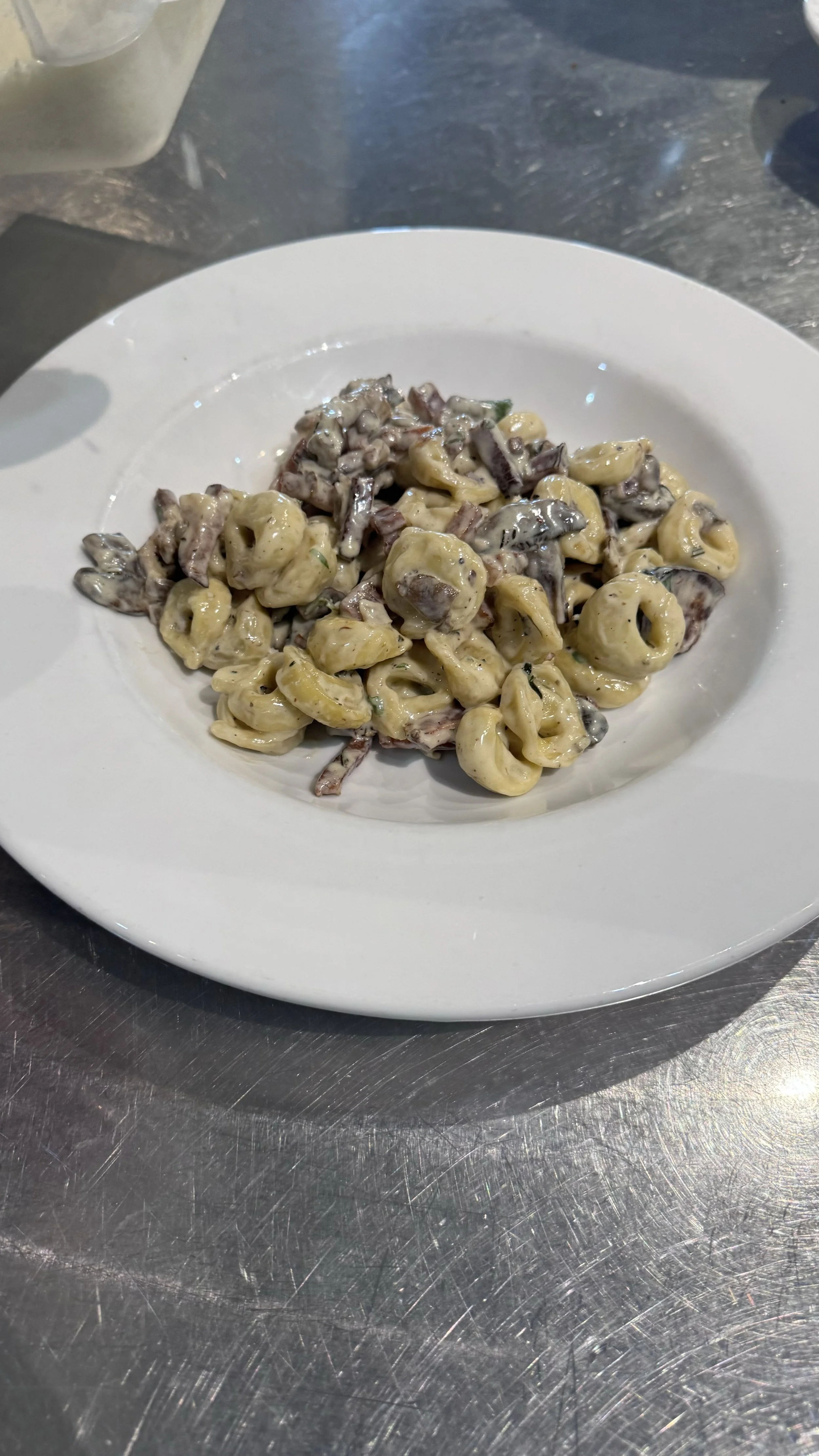 Creamy pasta with black truffle slices on top on a white plate.