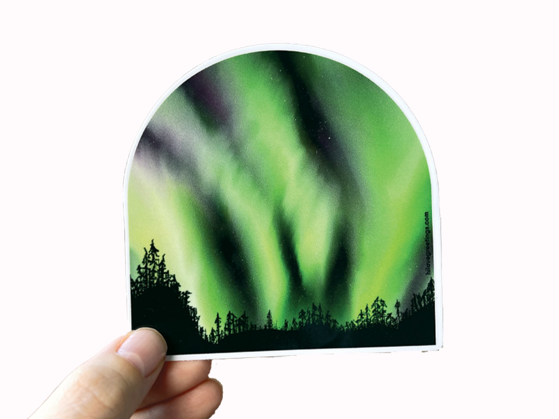 NORTHERN-LIGHTS-SPRUCE_HI-LOVE.jpg