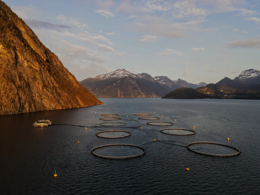 Hofseth Fish Rack Sustainability — Hofseth North America