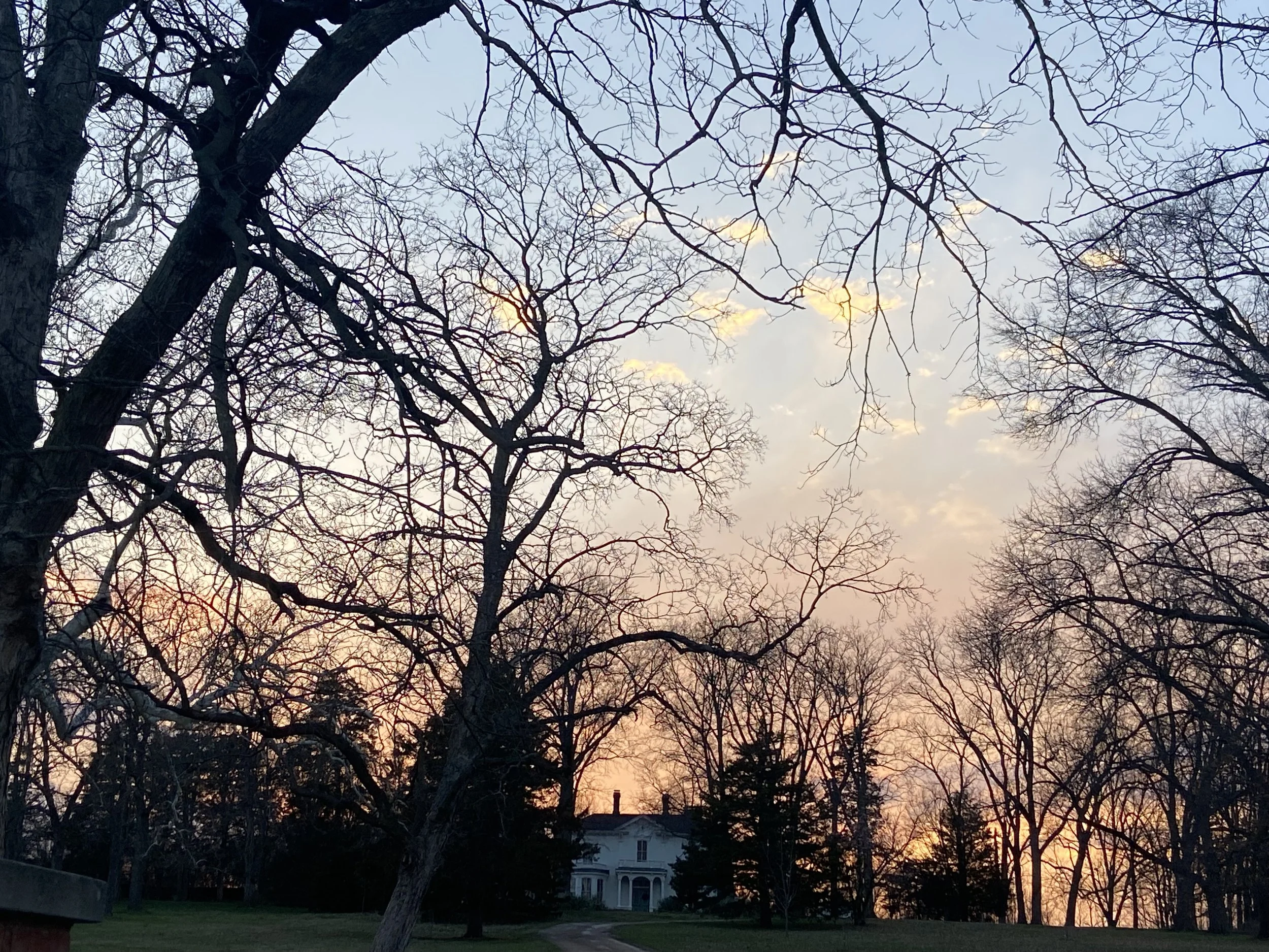 Historic Restoration at the David Guitar House