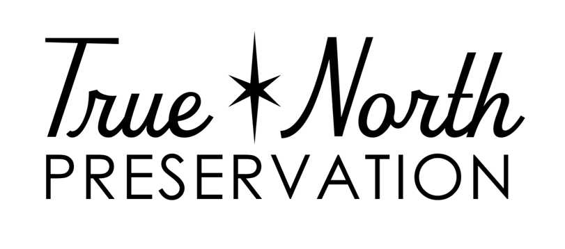 true north logo.png