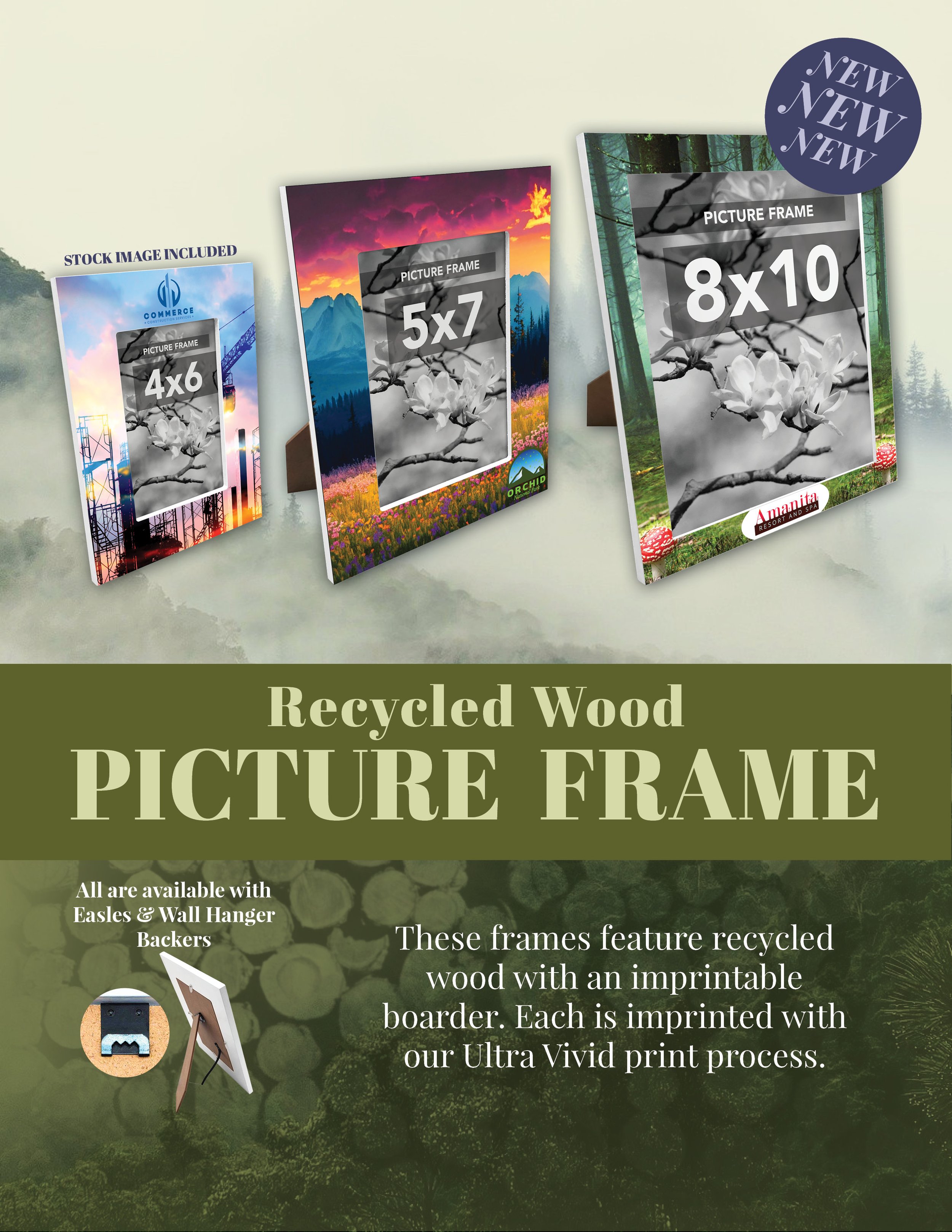 Picture Frame Flier 1