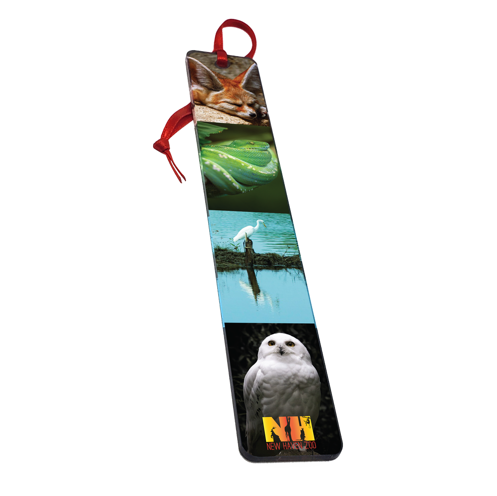 all-products-lasercutsline