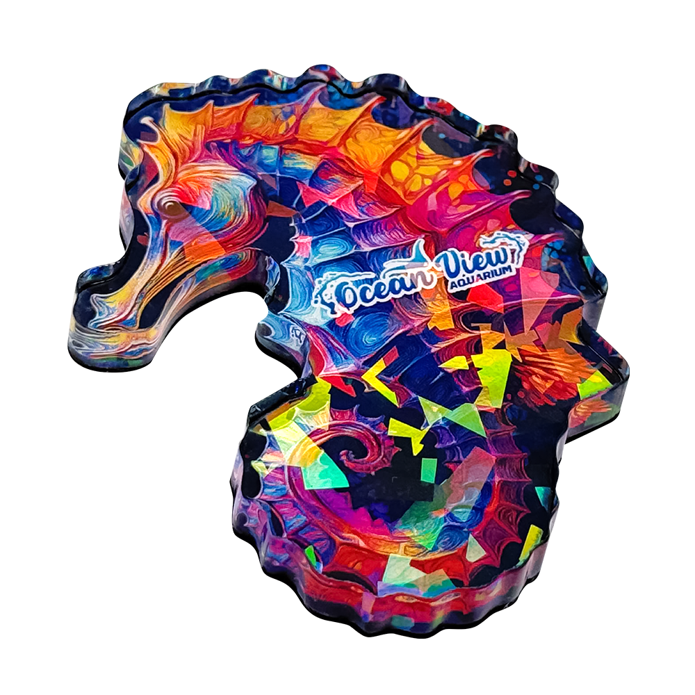 MAGNET-AFCRK_04.png