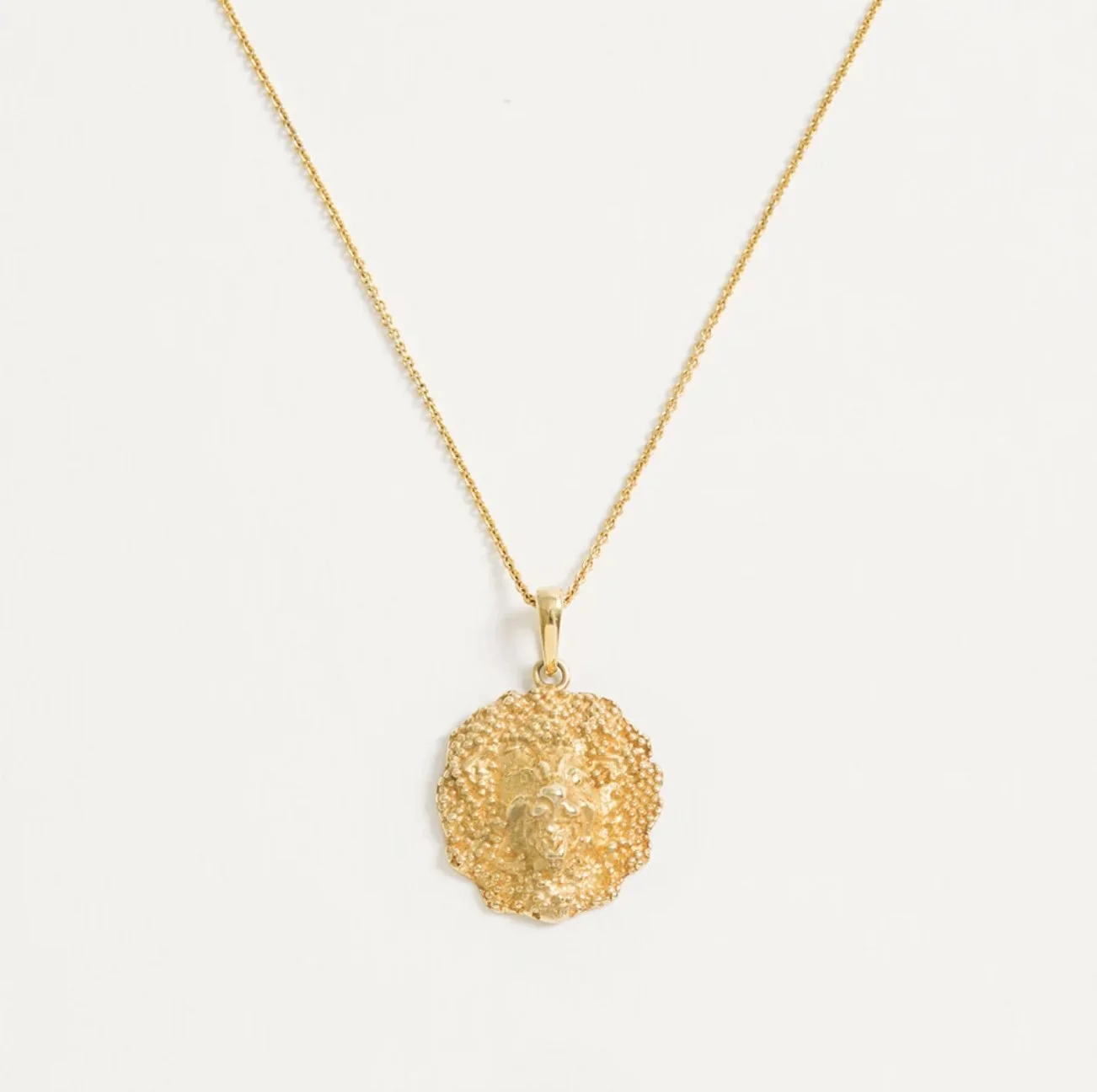 Lion Necklace3.jpg