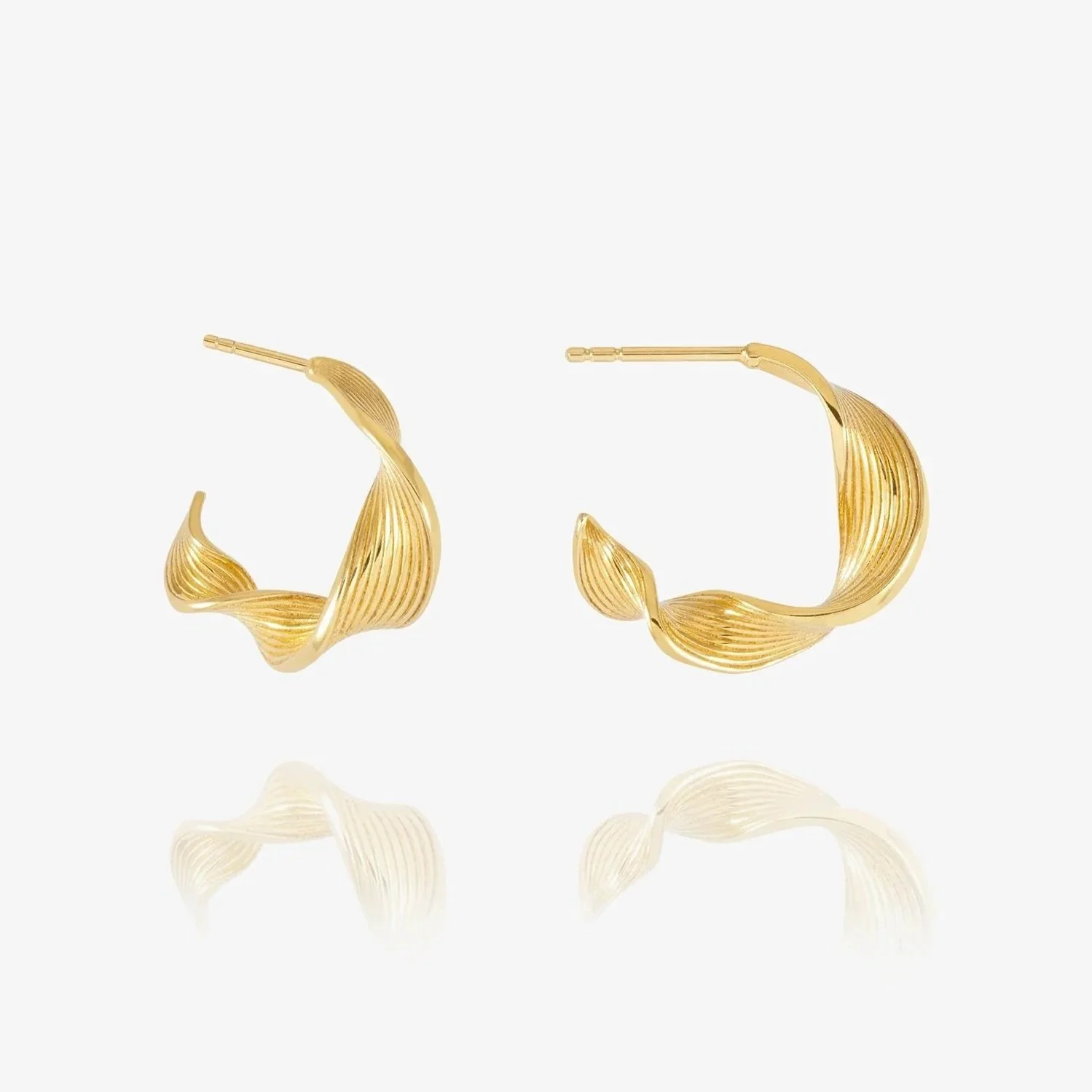 Twisted Hoop Earrings