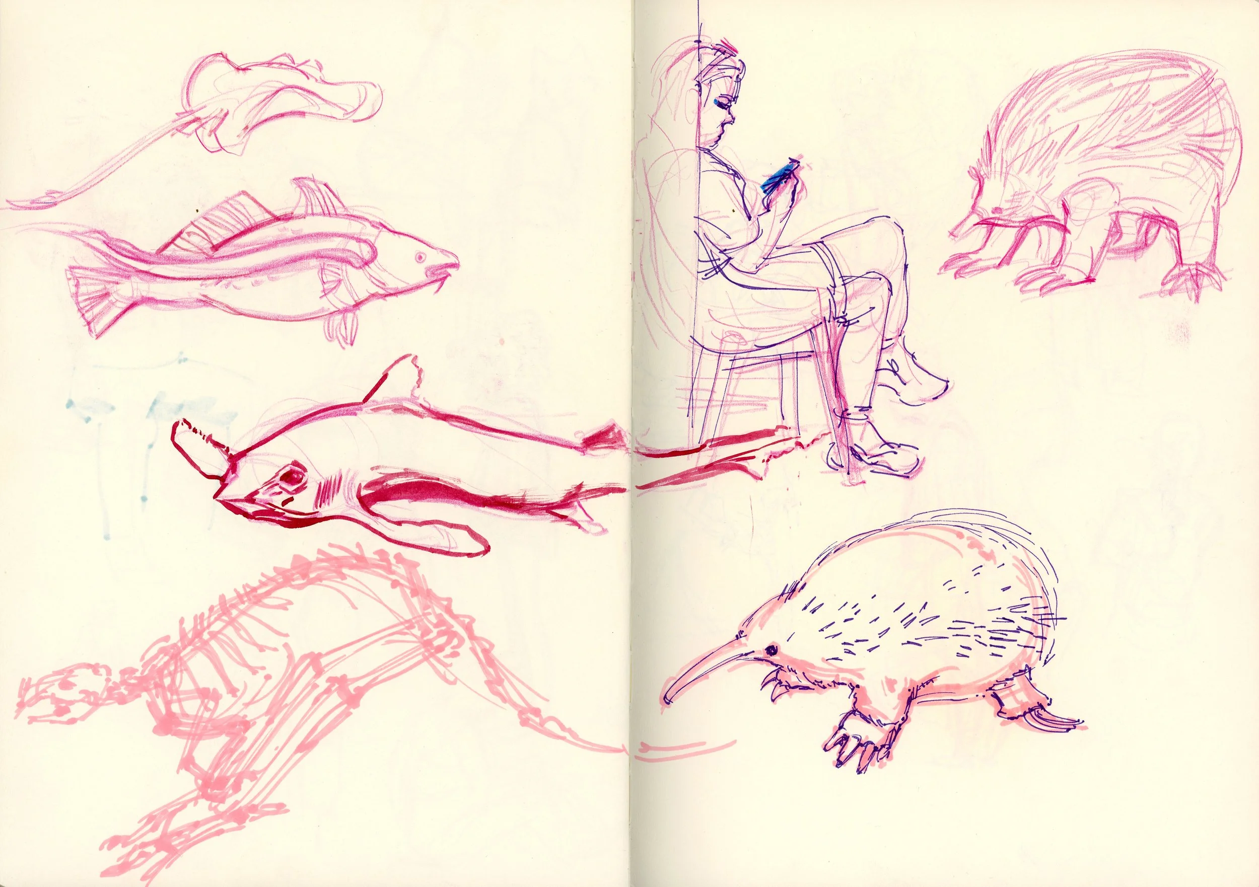 Mise en page des scans2.jpg