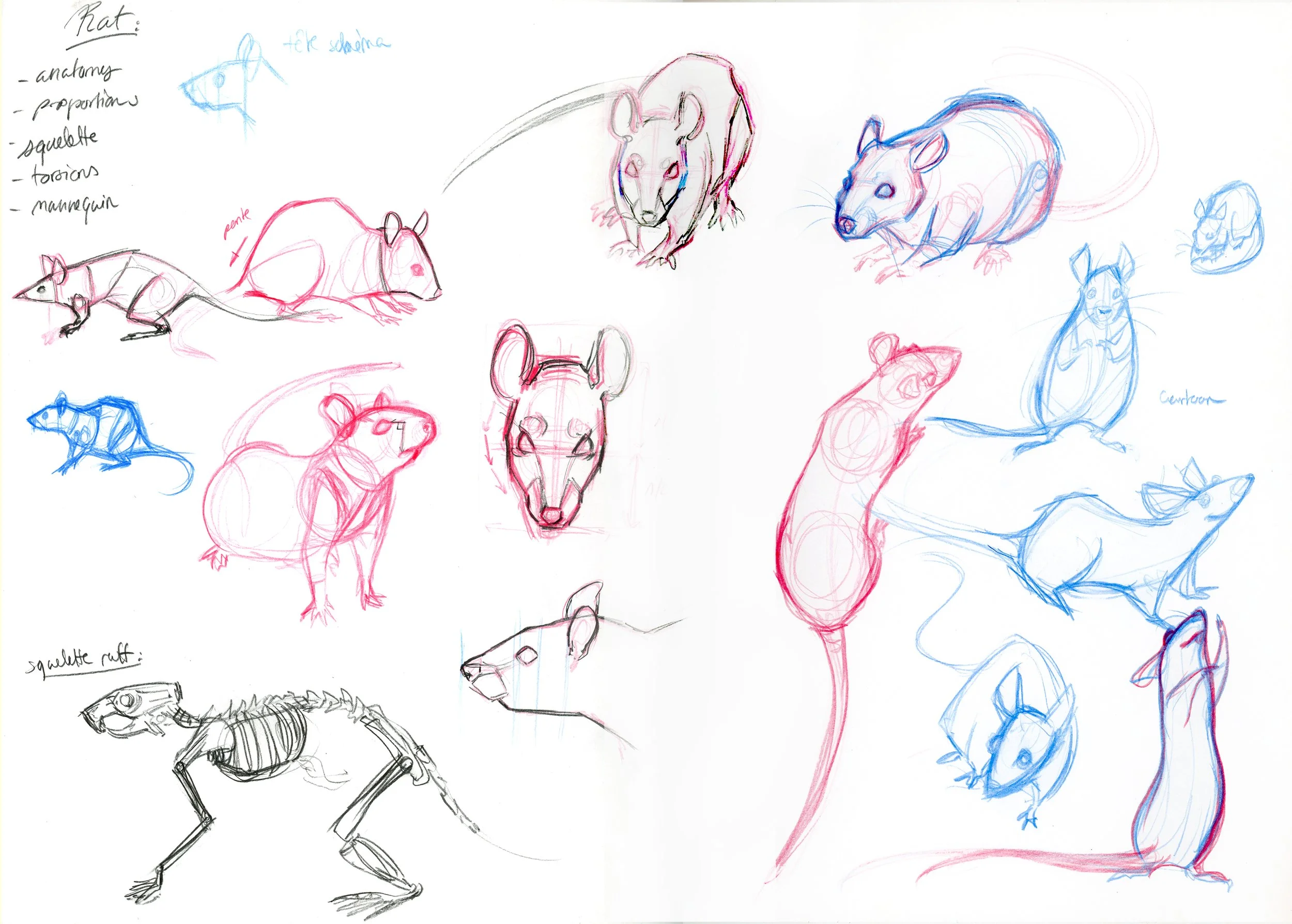 Mise en page des scans6.jpg