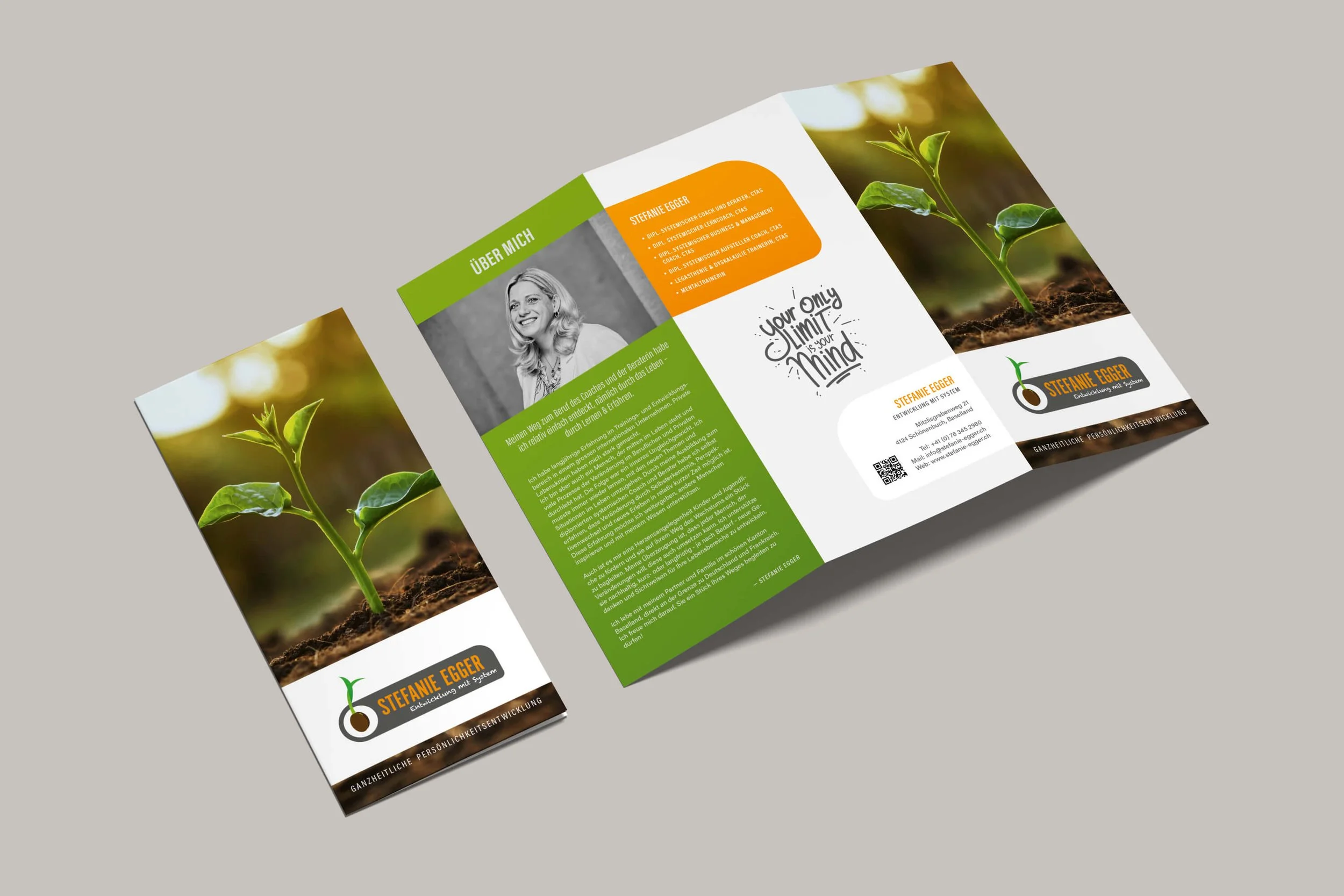 Tri-Fold Flyer