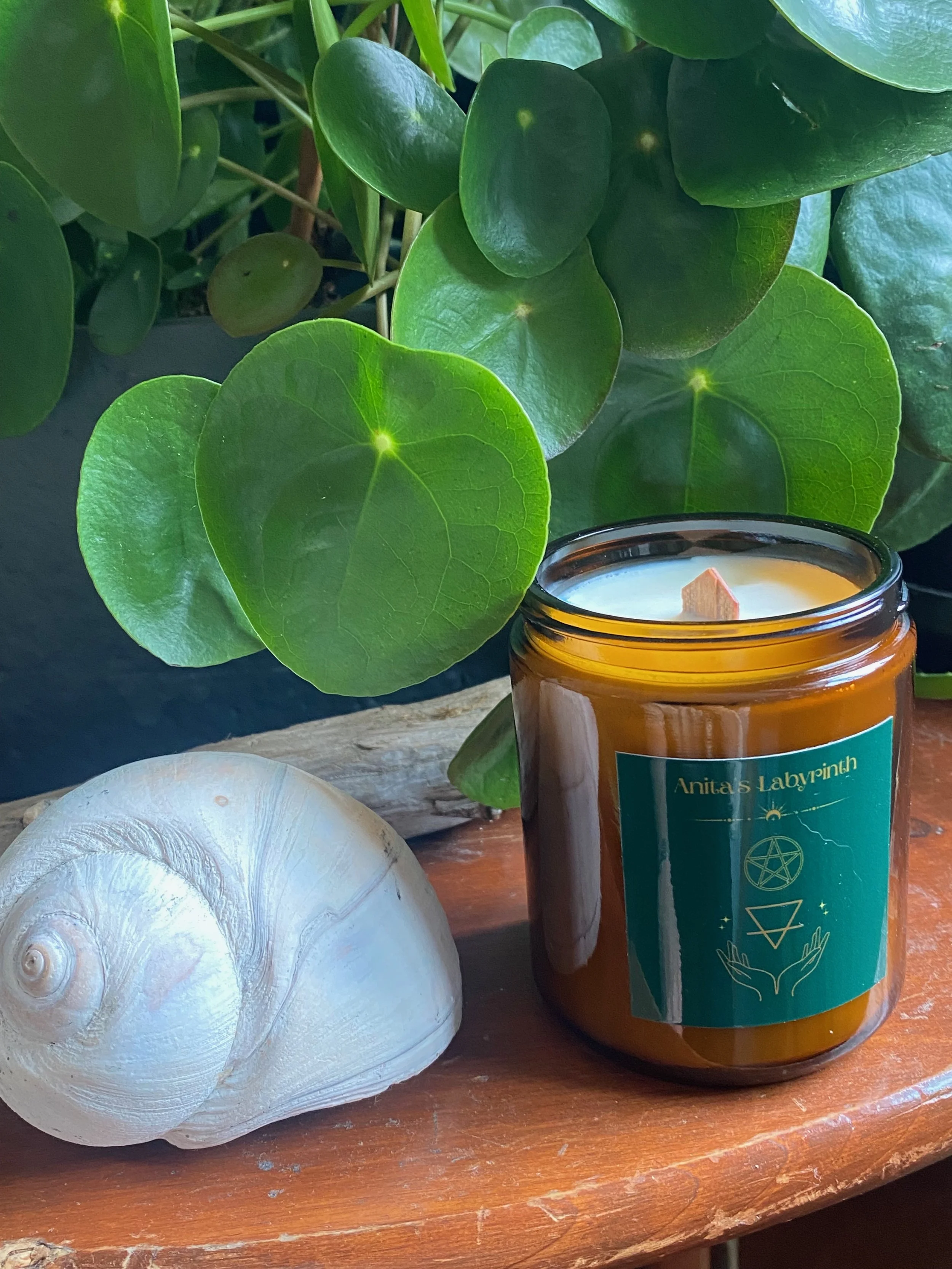 A lit candle in a brown glass jar with a teal label on a wooden surface next to a white seashell and a green leafy plant background.