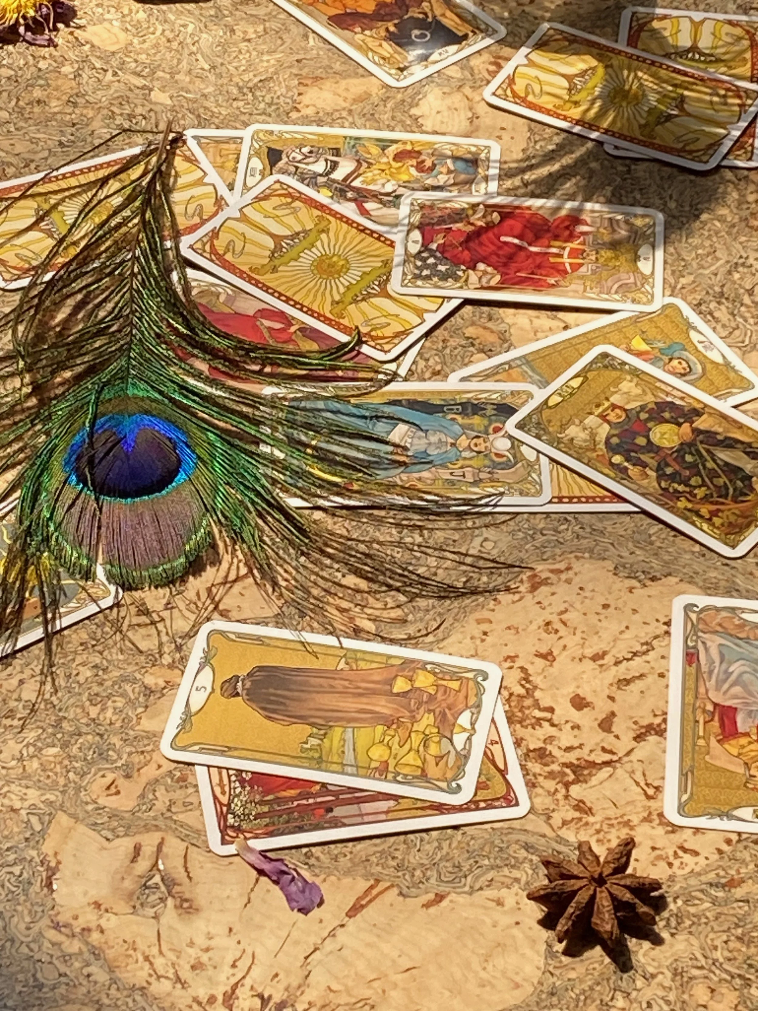 A spread of tarot cards on a speckled surface with a peacock feather, a purple flower, and a star anise pod.