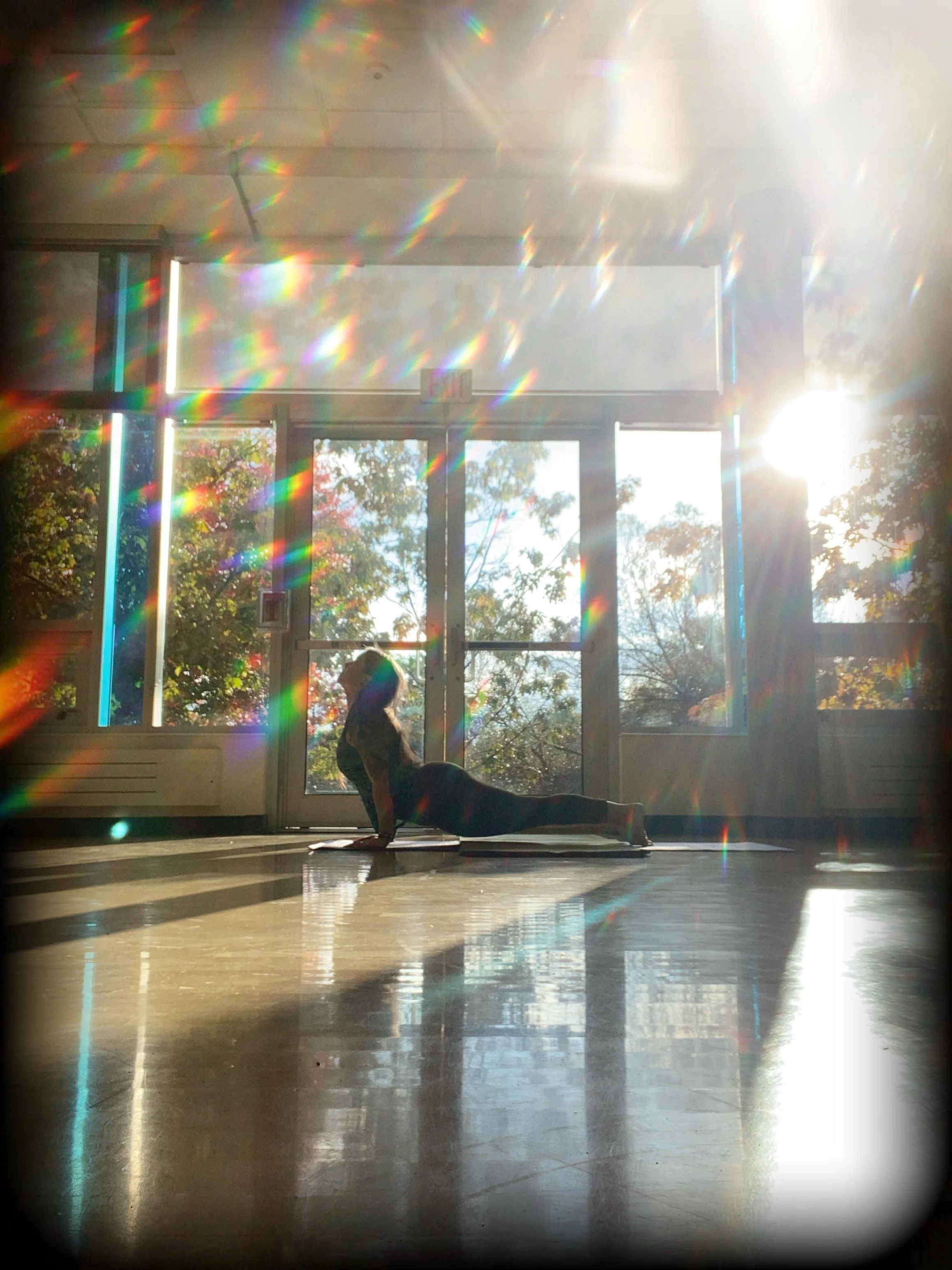 Woman practicing yoga in a sunlit indoor space with large glass doors and windows, and trees visible outside.