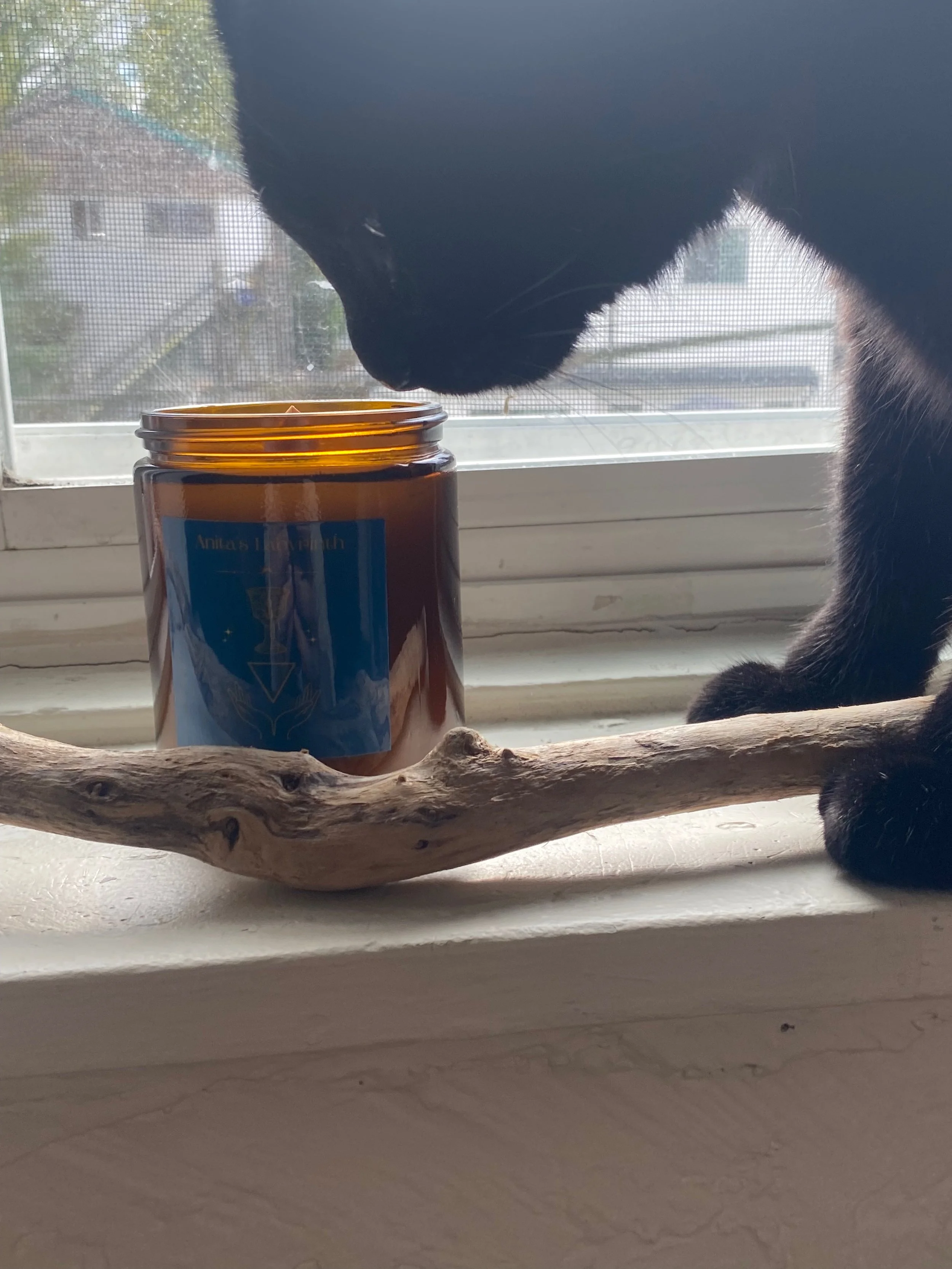 A black cat sniffing a brown jar with a blue label on a windowsill, with a piece of driftwood in front of the jar.