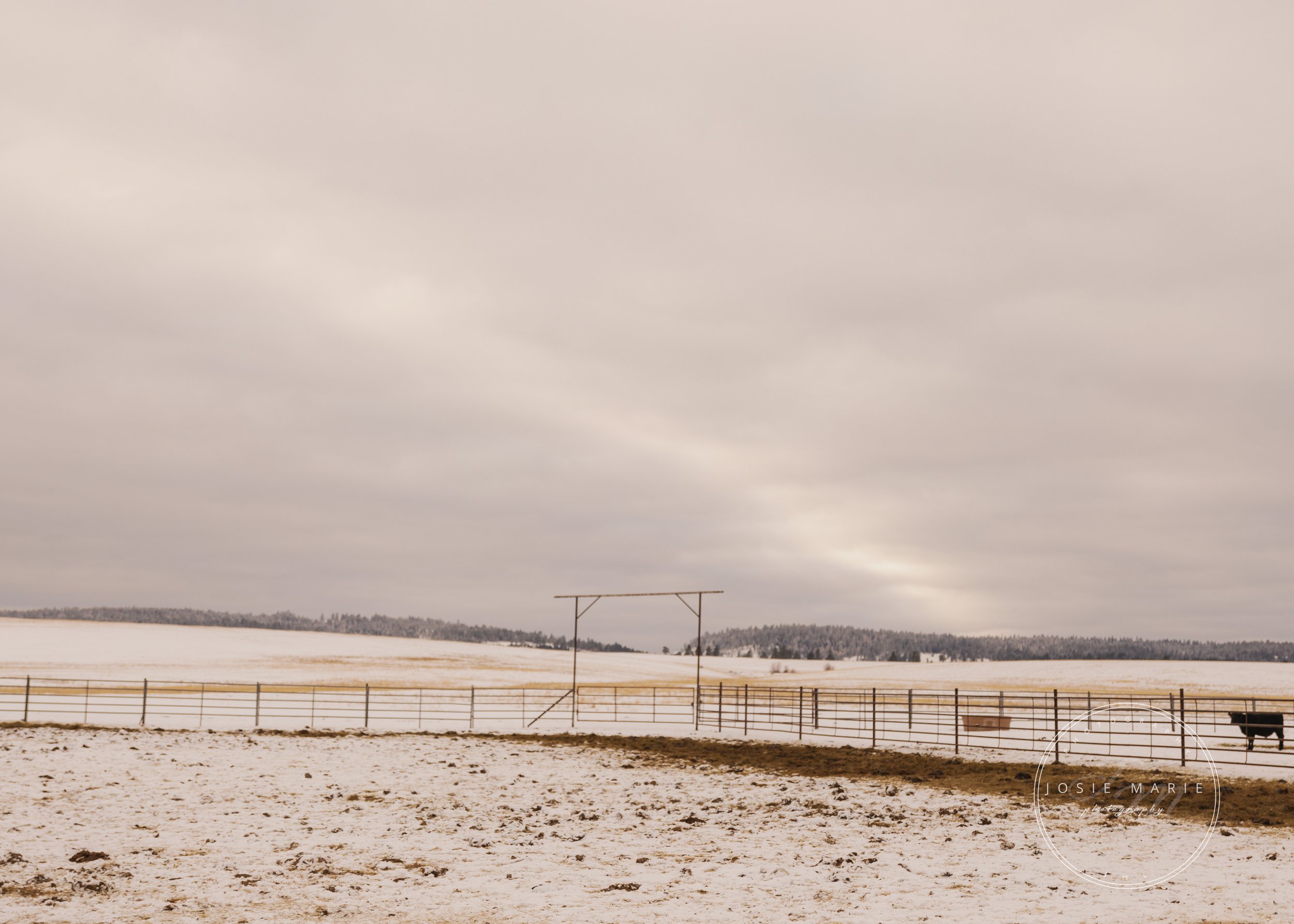 Steel Oil Casing Corral Catch Pen