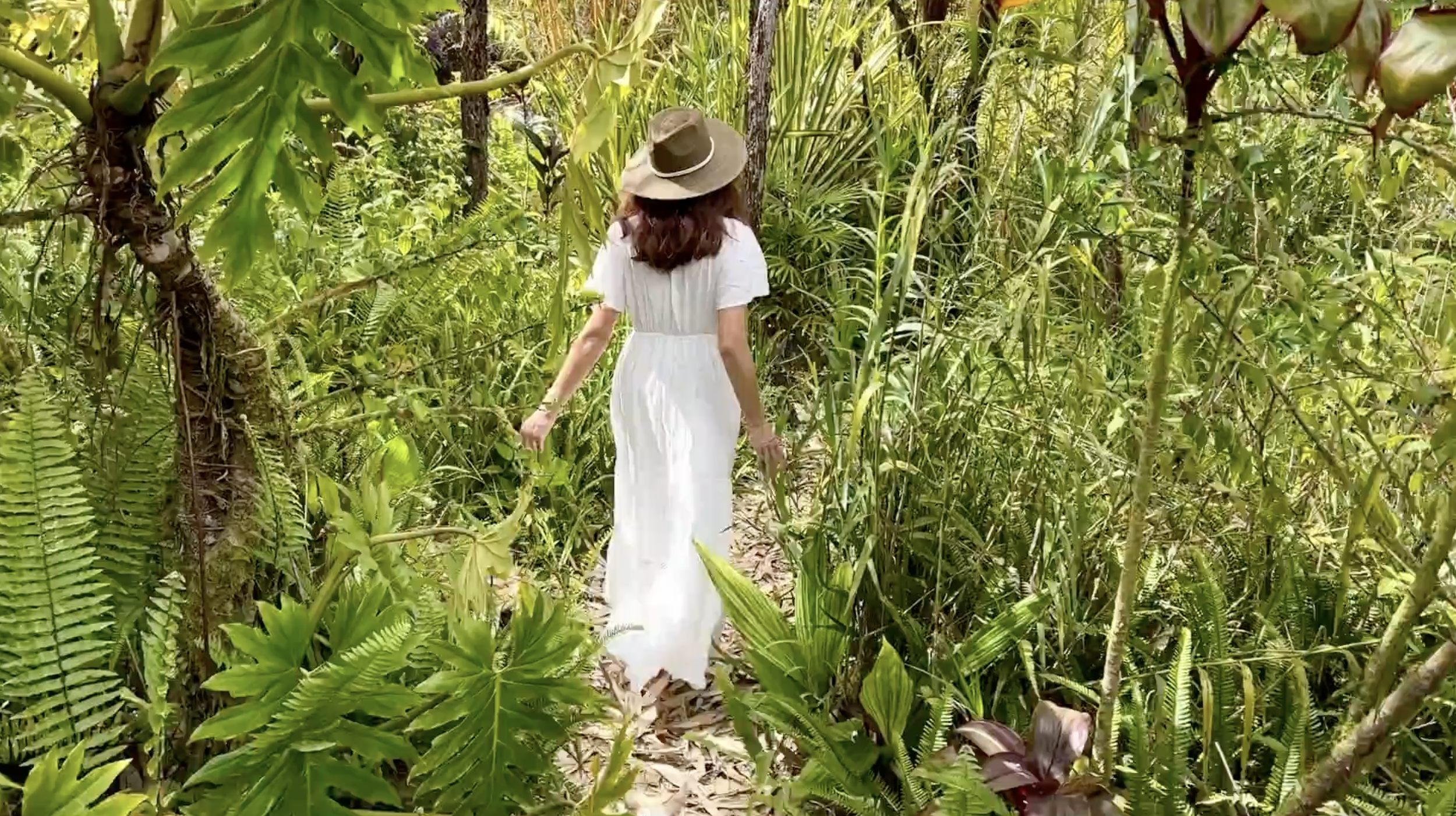 Screenshot 2025-12-01 at 2.10.05 pm.png