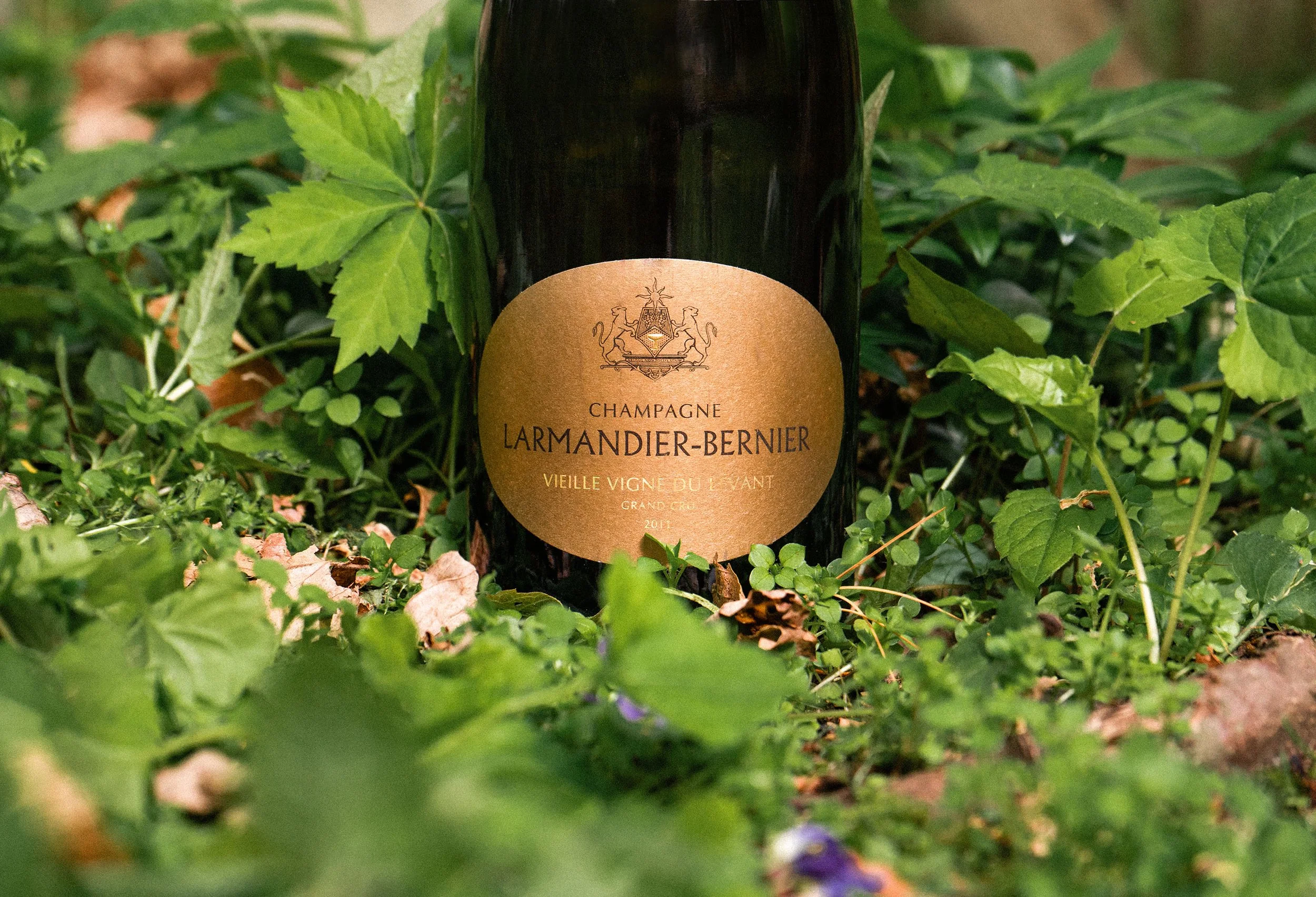 Larmandier-Bernier
