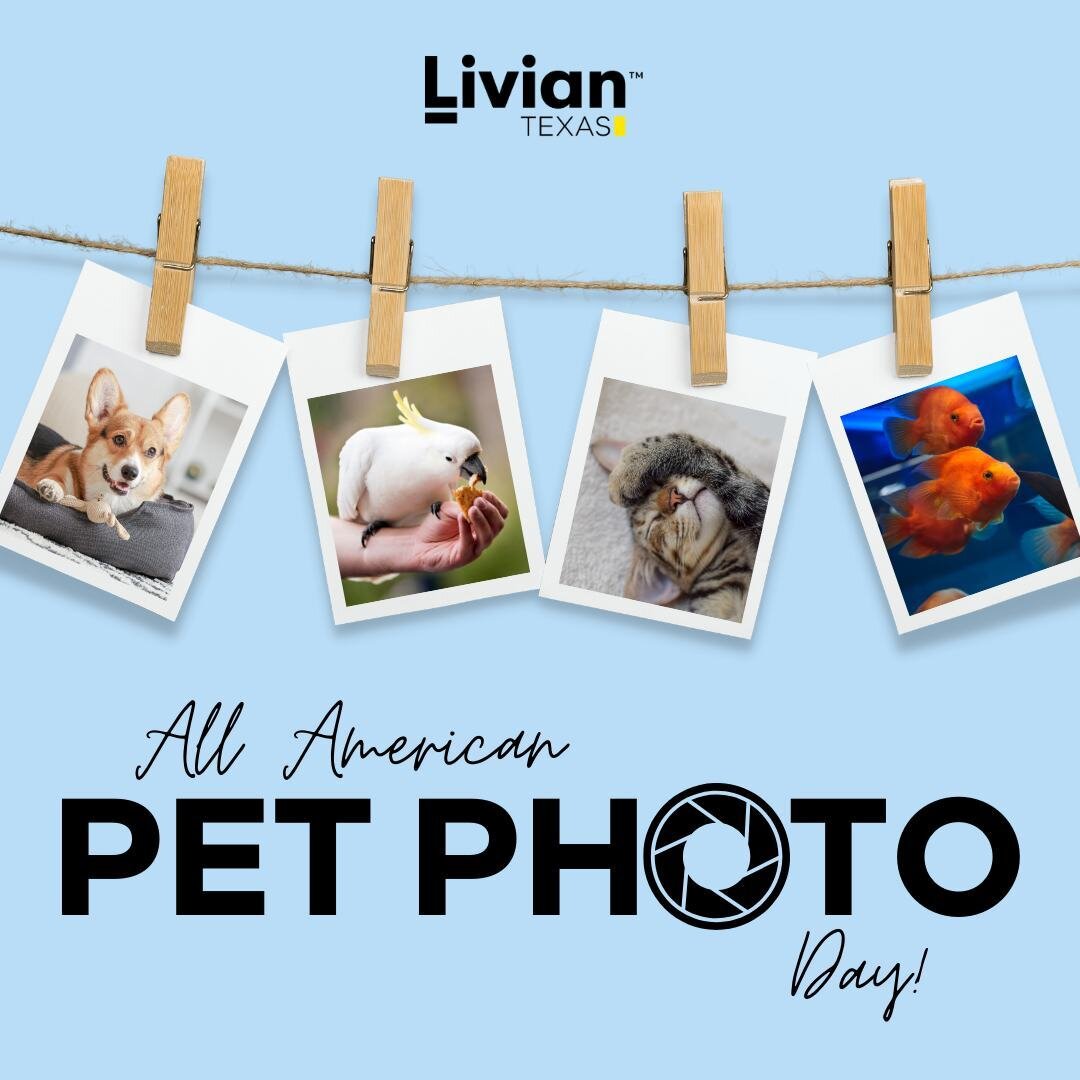 📸🐾 Celebrating All American Pet Photo Day! 🐶🐱

Just like capturing the perfect photo of your pet can be challenging, so can capturing captivating images of your home. If you&rsquo;re thinking about selling, and you list your home with us, we&rsqu