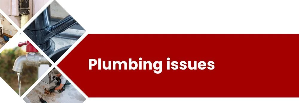 Plumbing and sewer line problems found during a home inspection