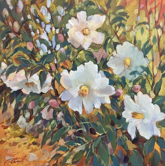 Camellia in Arboretum 14 x14 acrylic 