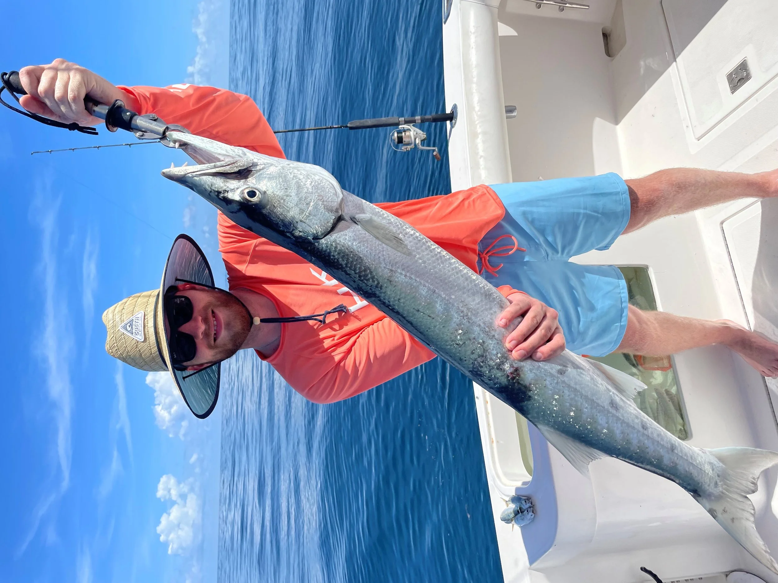 ugfdfgh.jpg