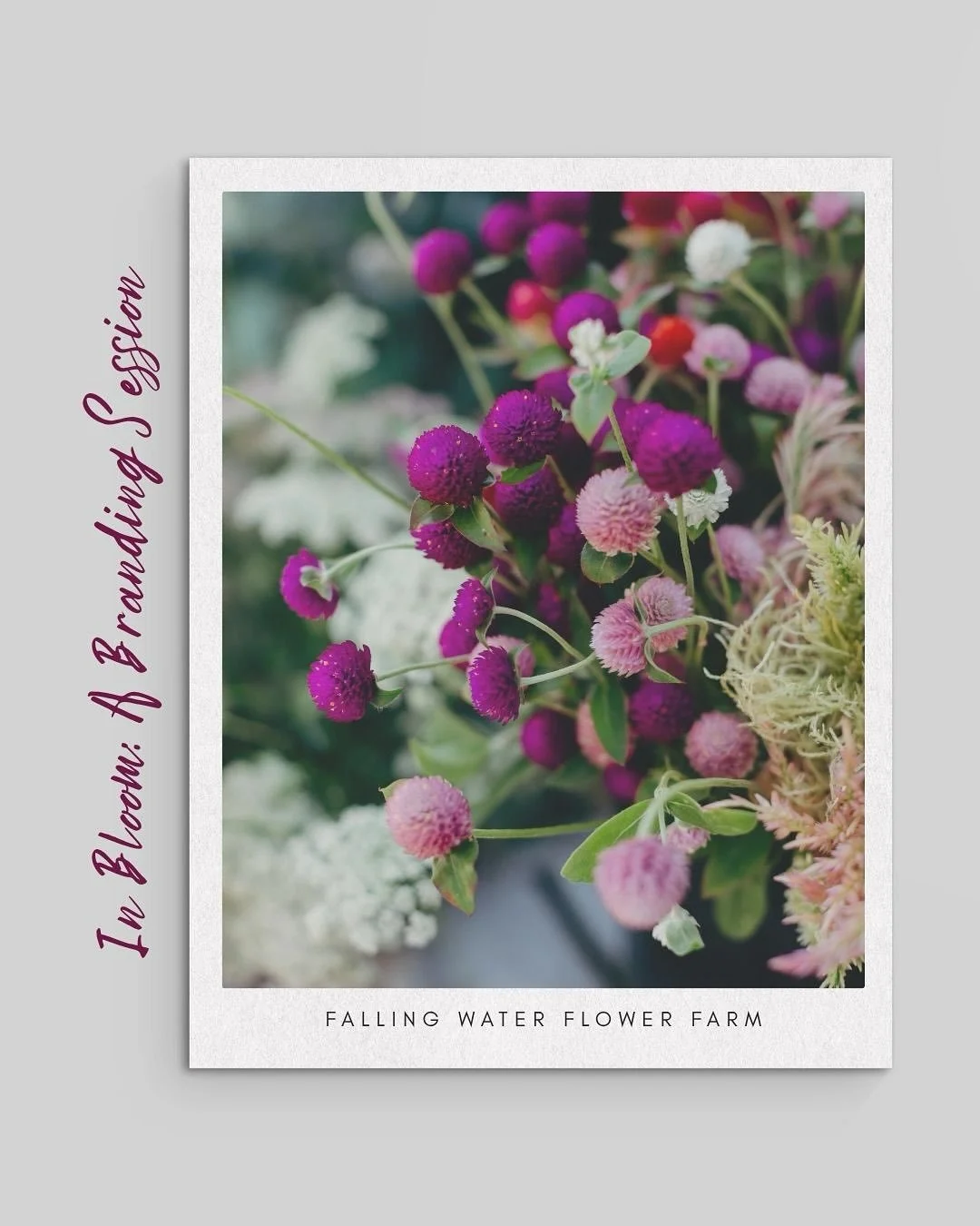A dream come true for Amy, a branding session at a flower farm! 🌻

&ldquo;It was like being inside of a beautiful novel, an art novel. Nature and life together in vibrancy.&rdquo;-Amy Lou

Professional images can elevate your brand and build trust w