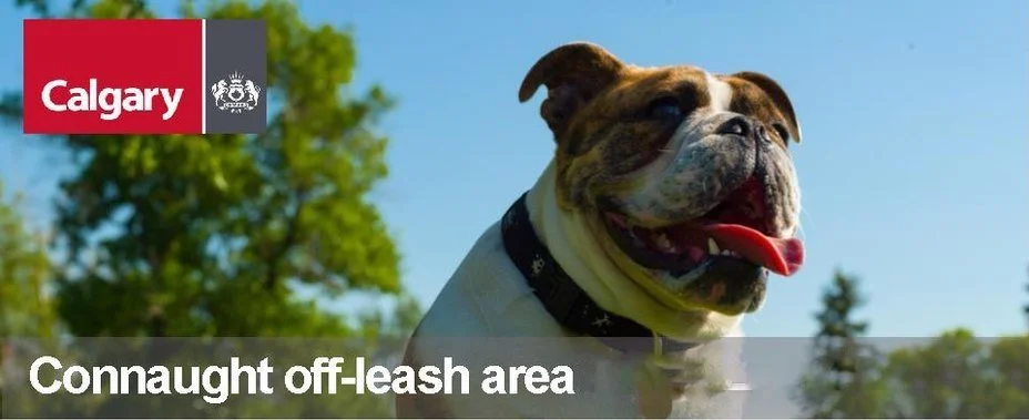Connaught-Off-Leash-Area.jpg