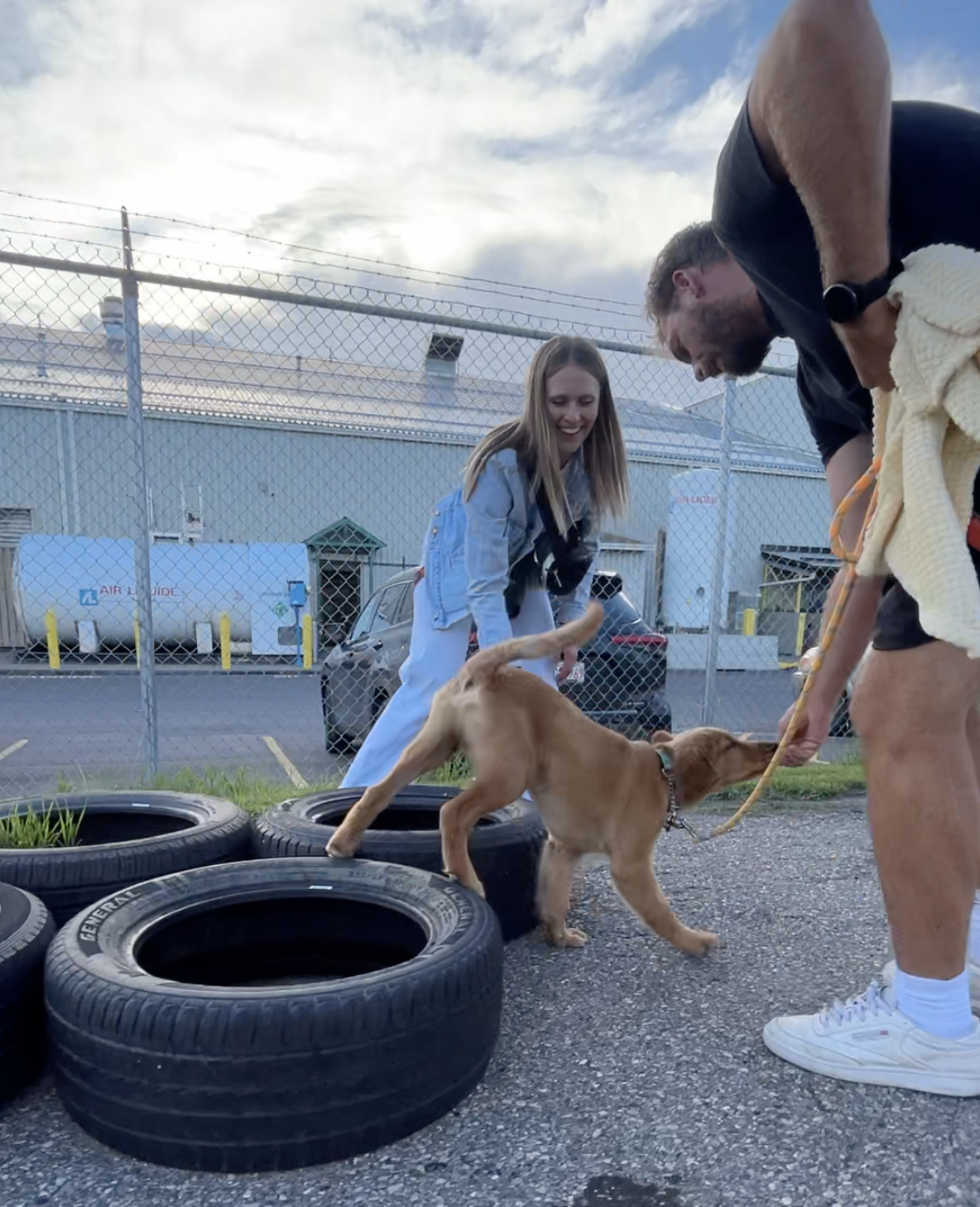 Why Puppy Training Classes Are Important: When to Start Training Your Puppy