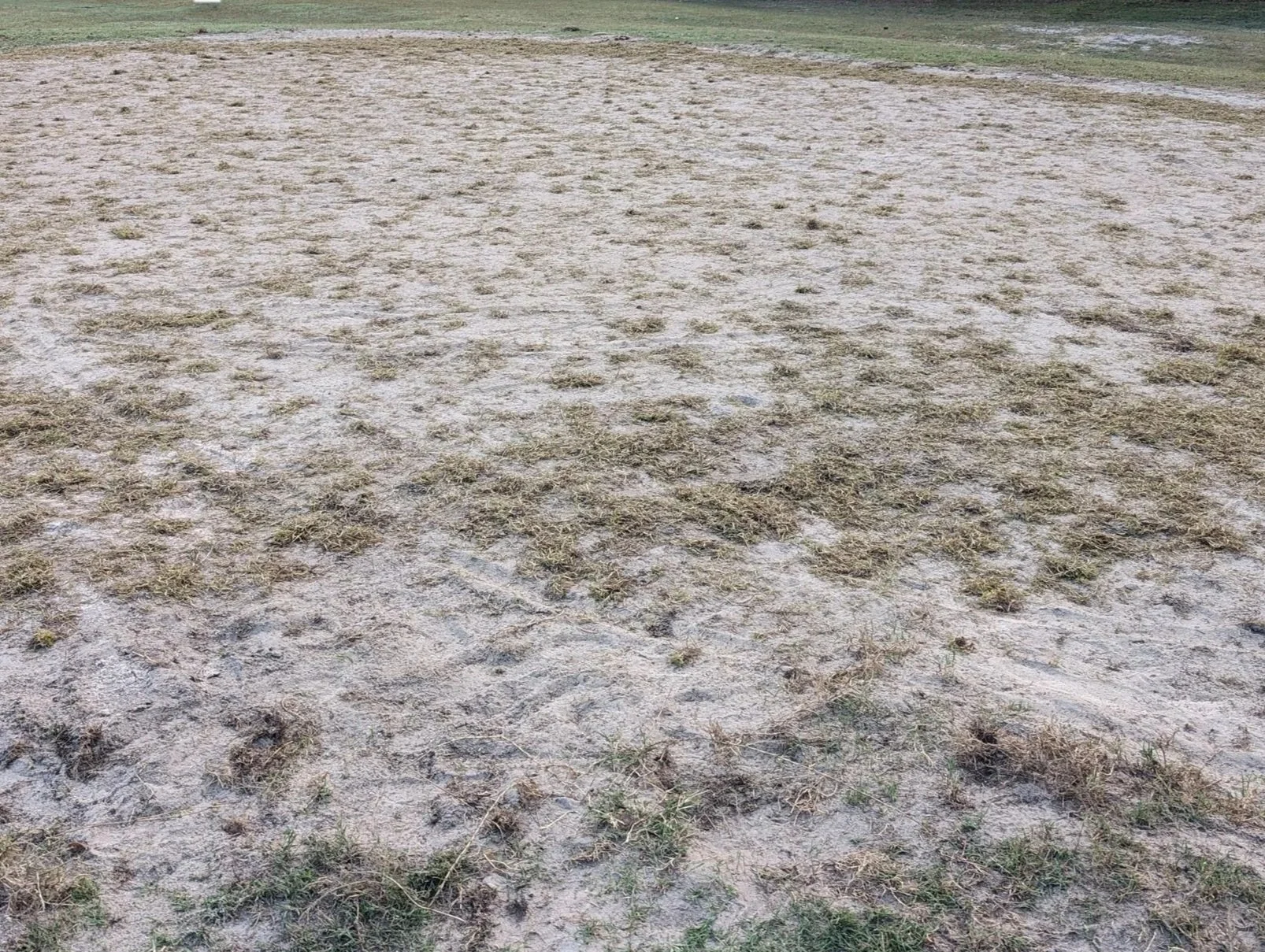 Soil Remediation 