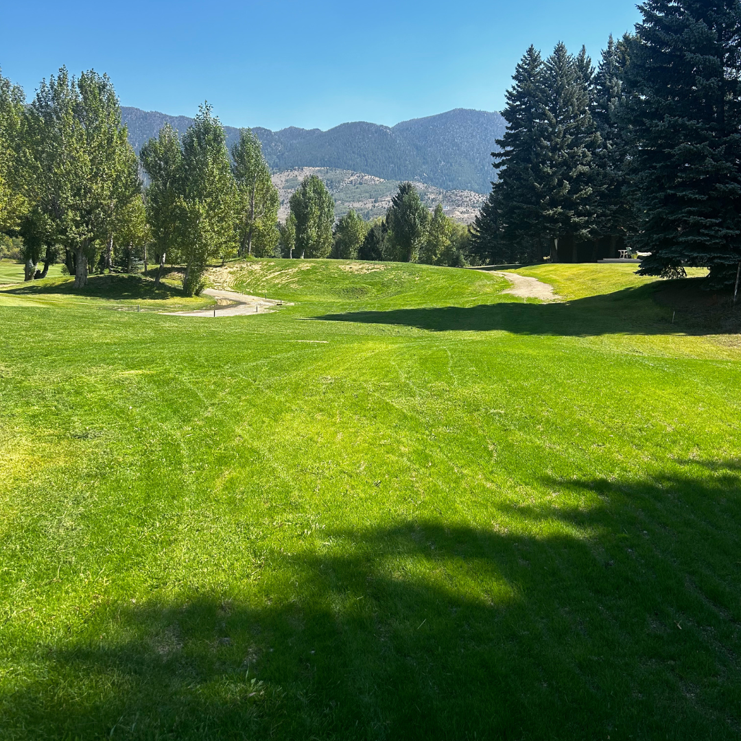 Butte Country Club after 28 days
