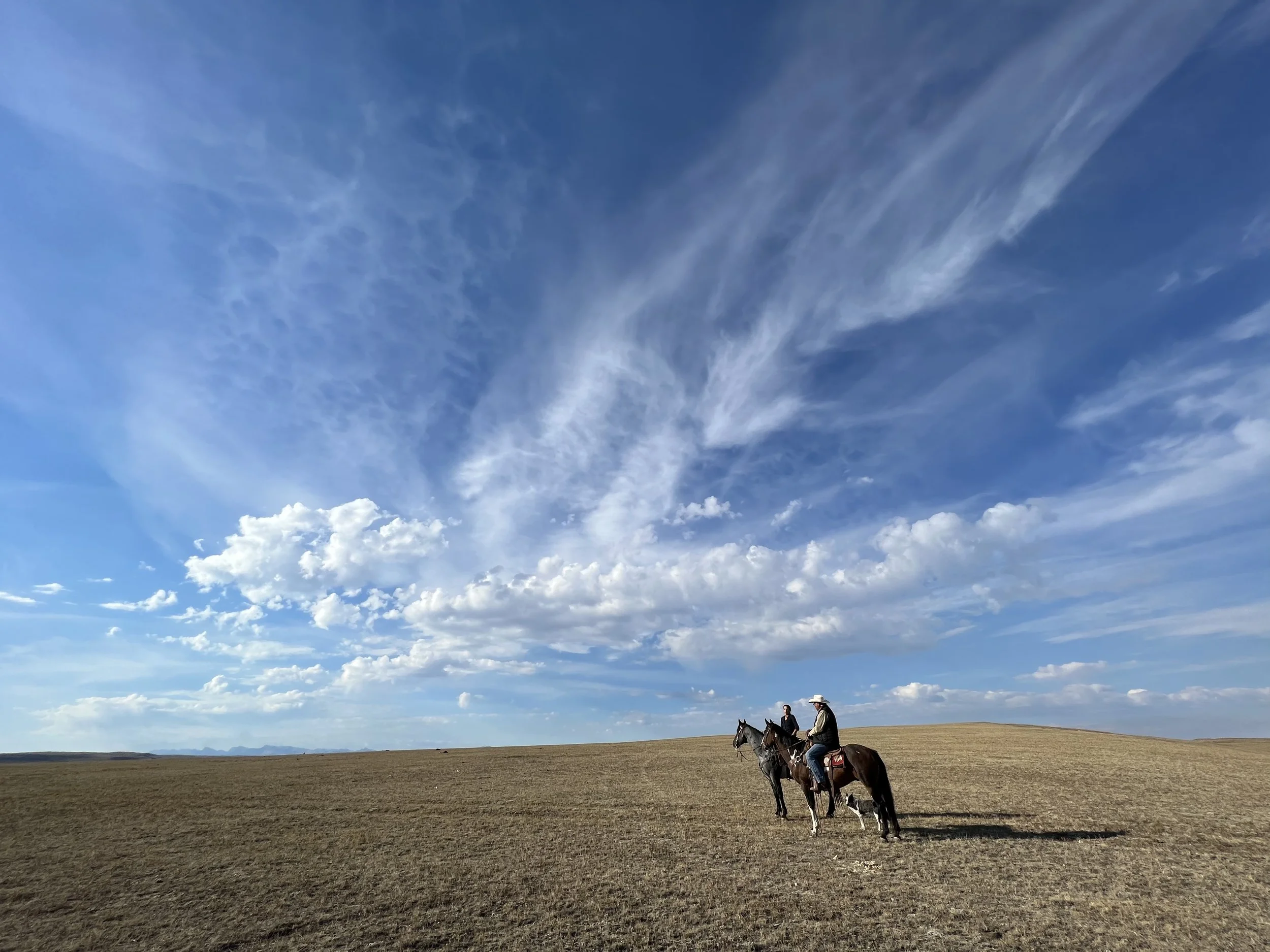 Two people on horseback, a dog between them