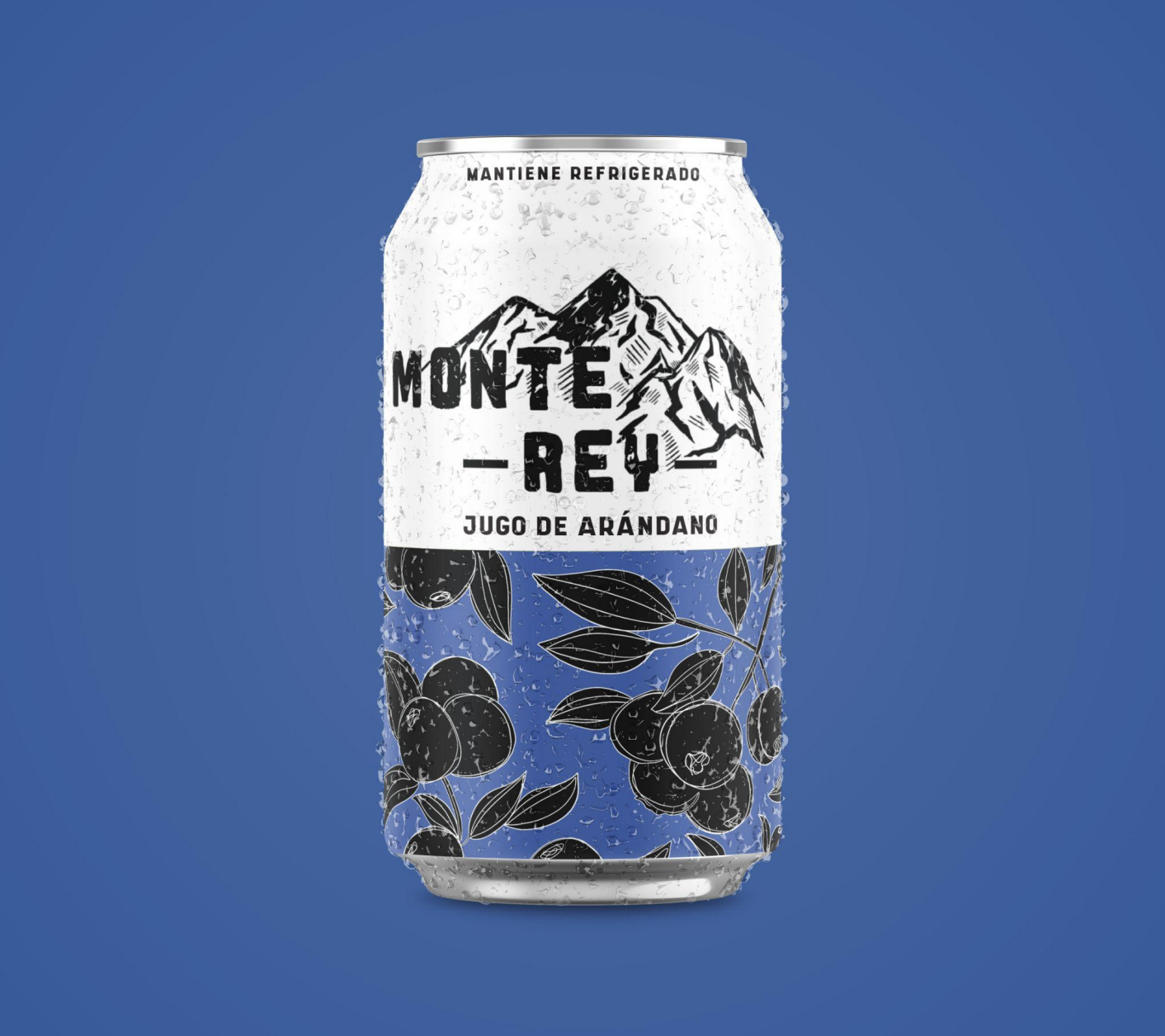 Screen Shot 2022-12-19 at 2.01.18 PM.png