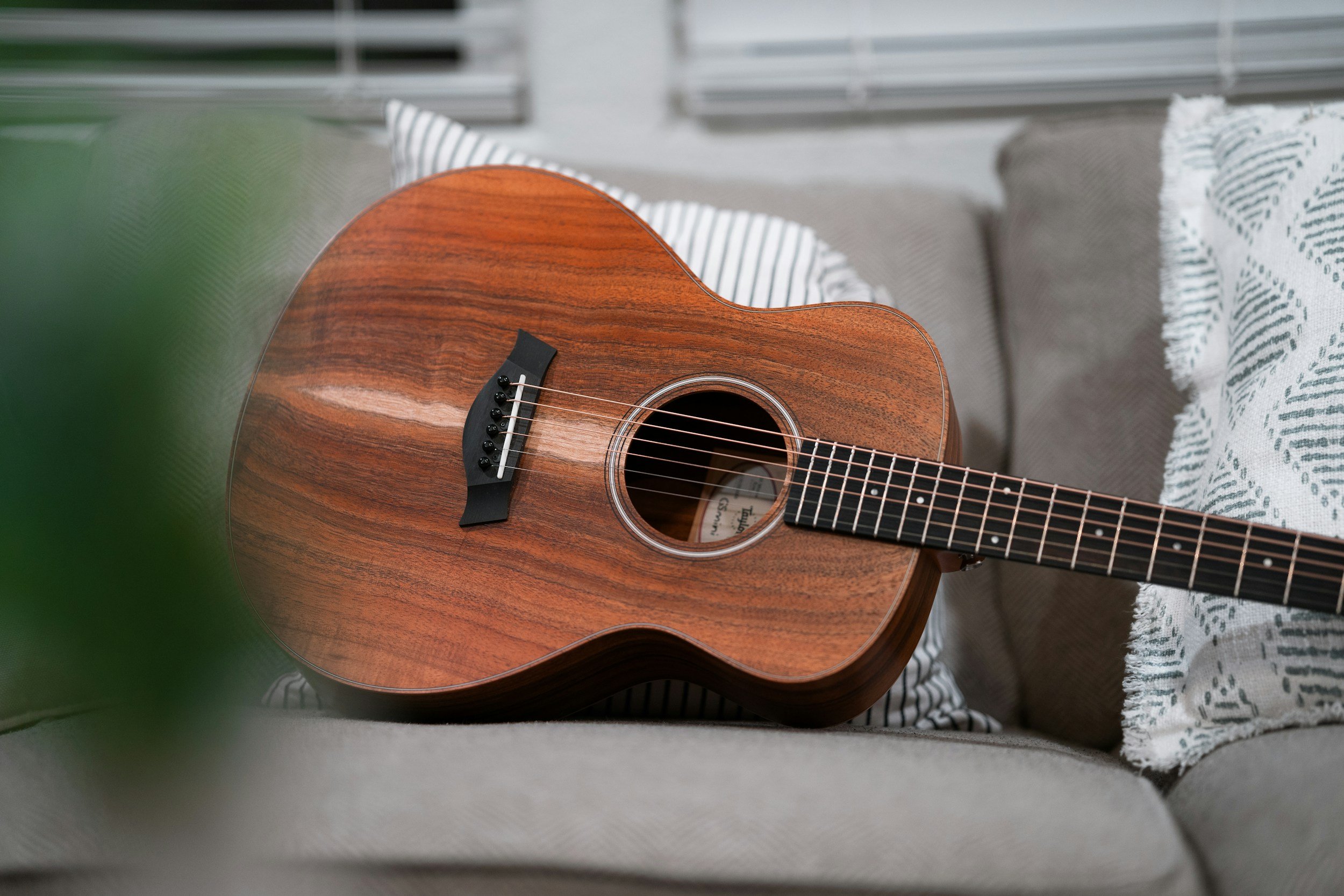 The 5 Best Acoustic Guitars For Beginners