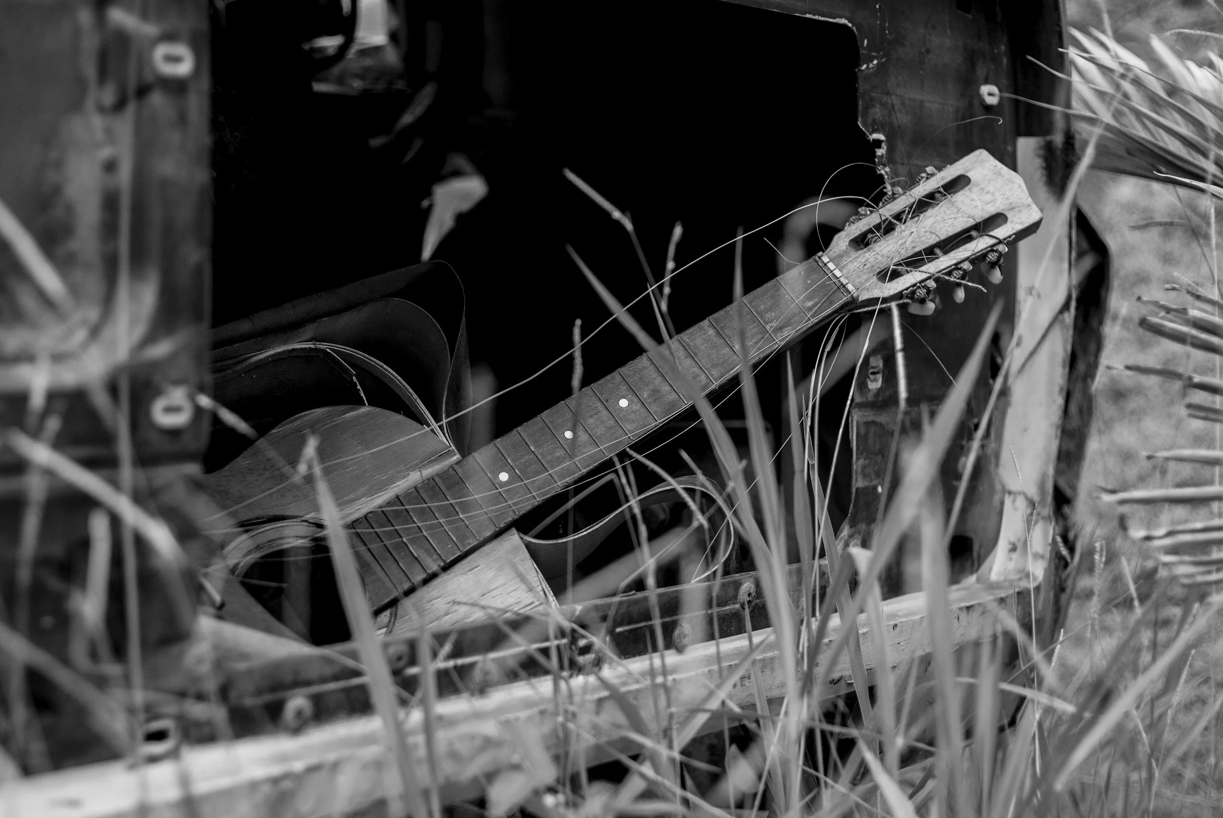 An old acoustic guitar resting among tall grass and foliage, with parts of a weathered wooden structure nearby.