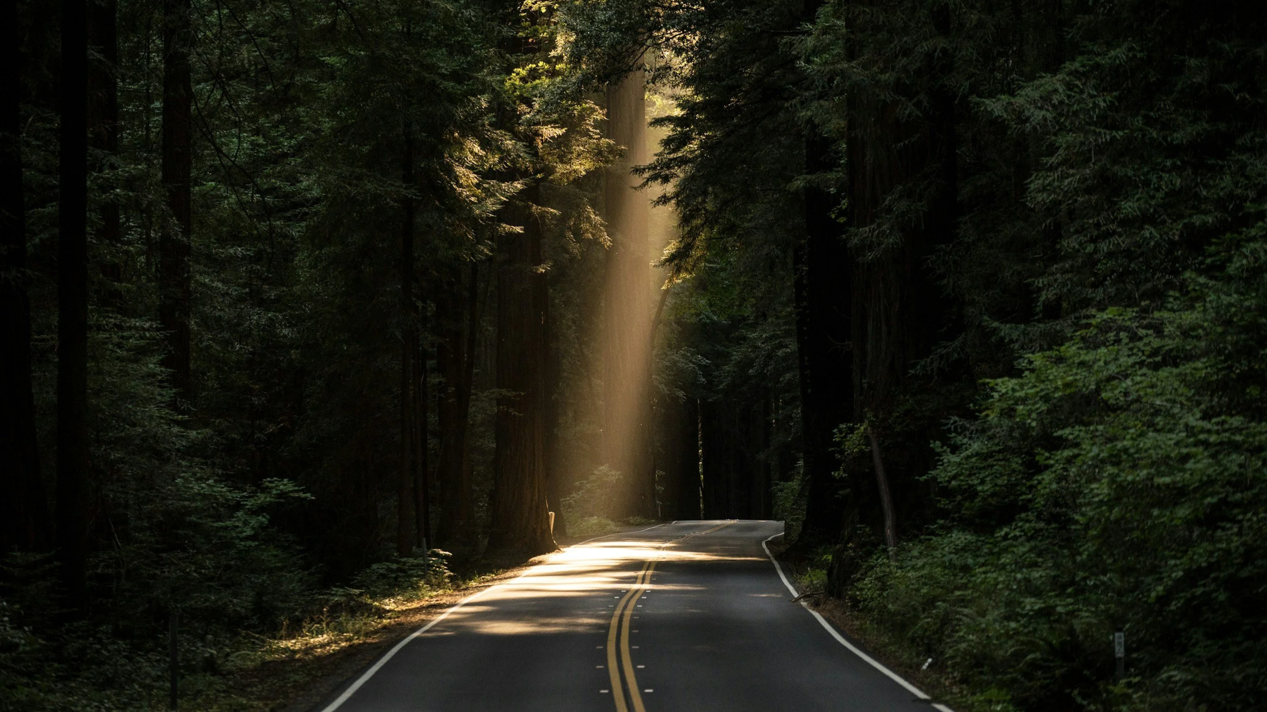 Siddhartha's Journey to Truth and Self-Discovery