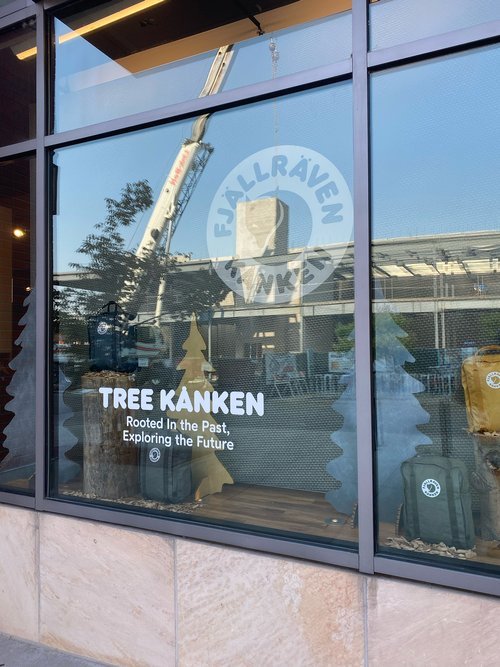 tree_kanken_window.jpg