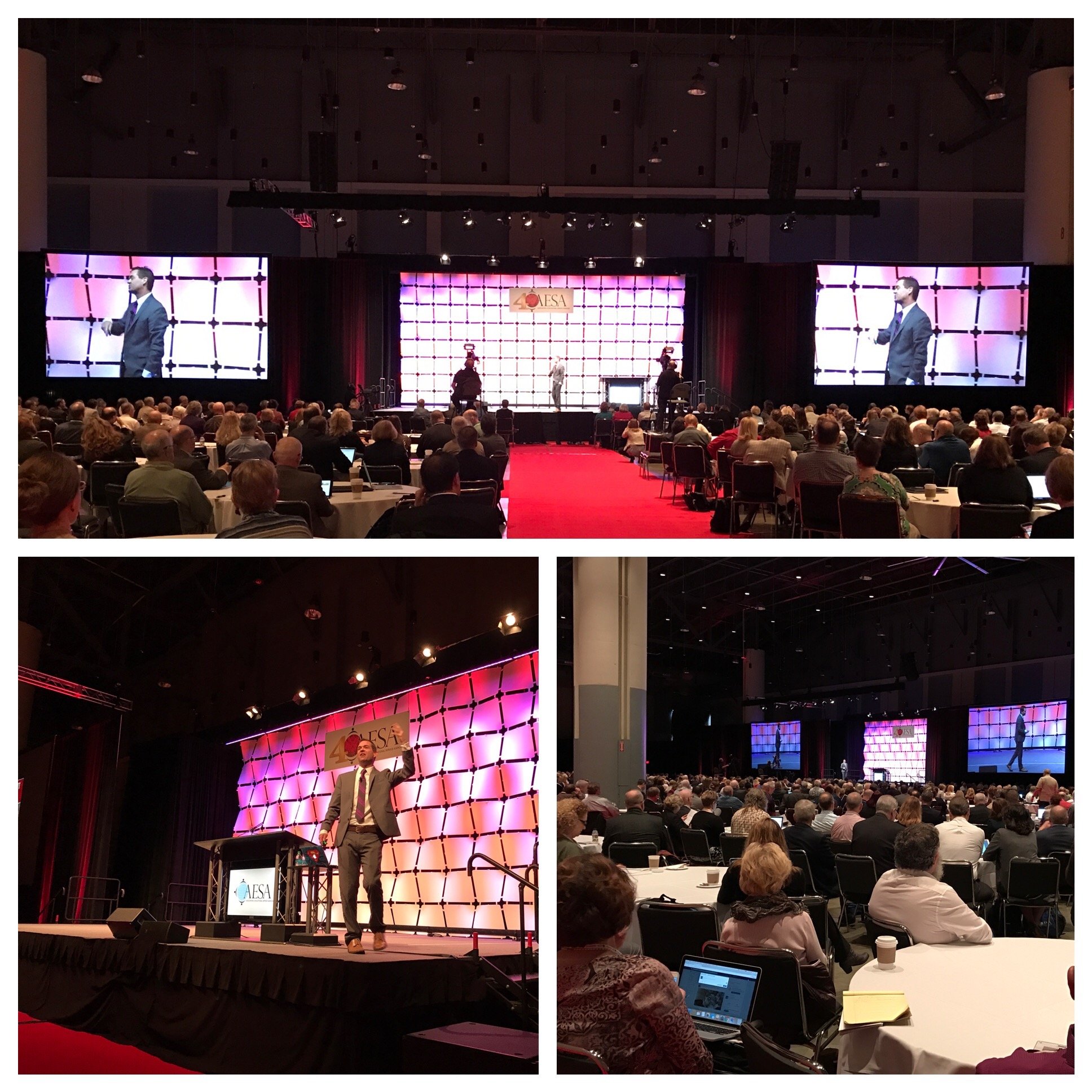 AESA - Savanah, Georgia (Collage)