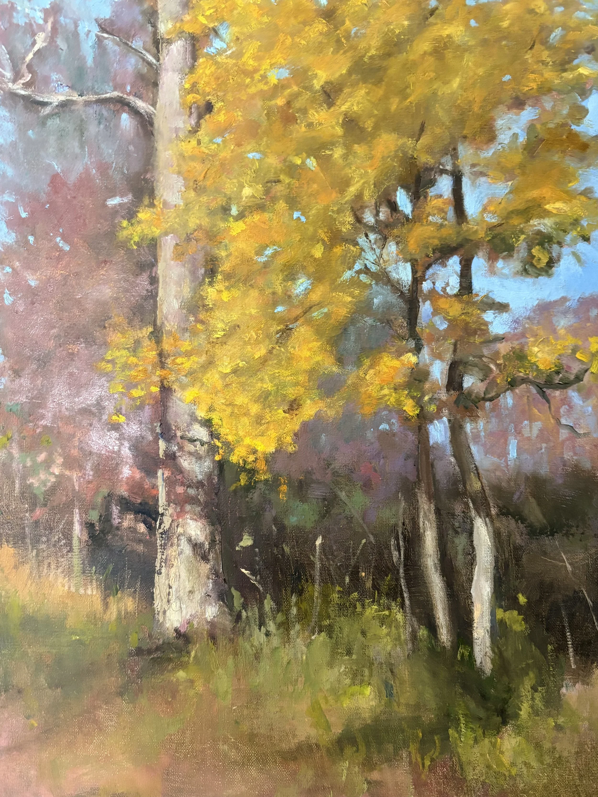 Trees at Goosecreek.jpg