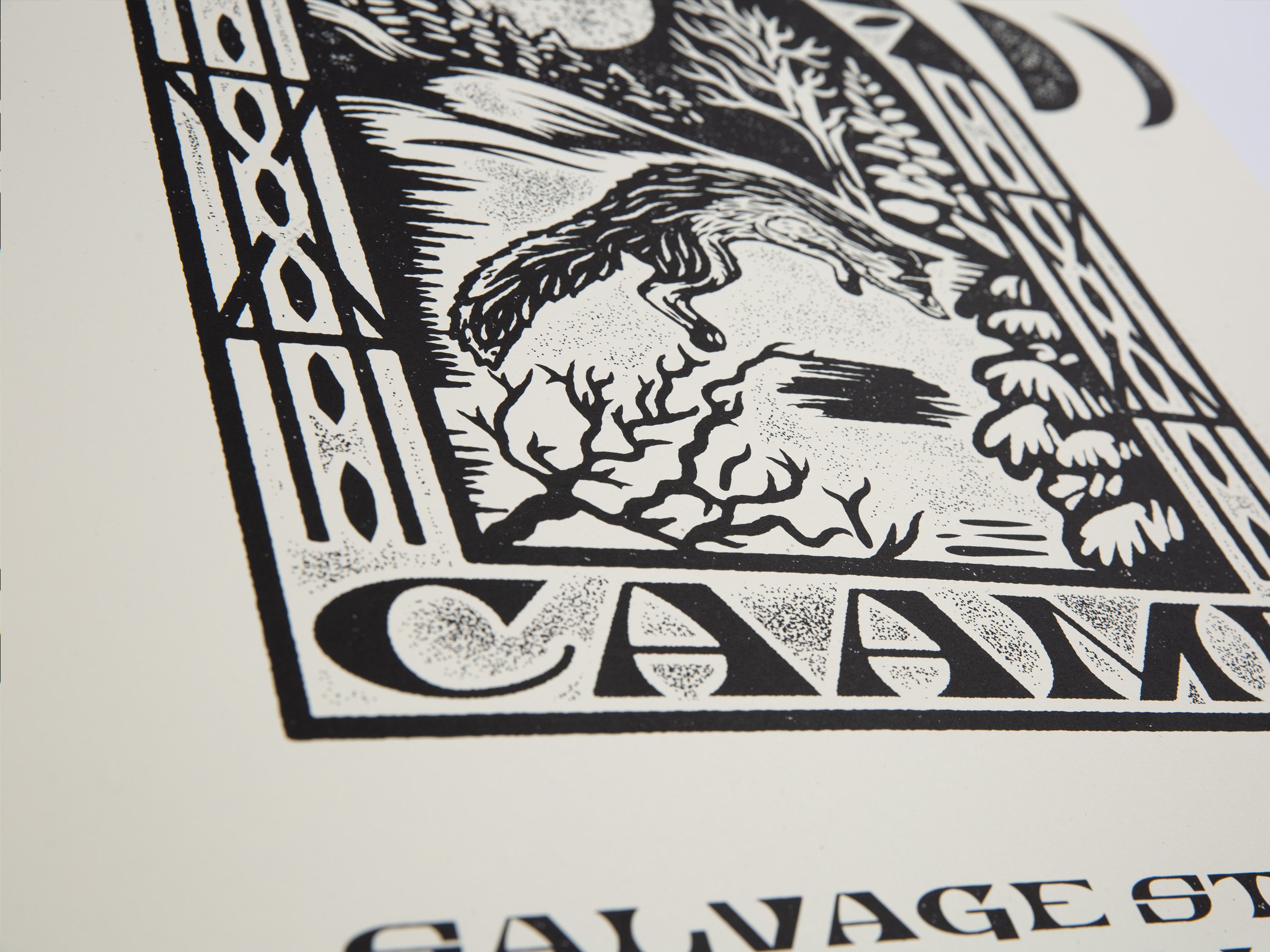 CAAMP_Closeup3.jpg