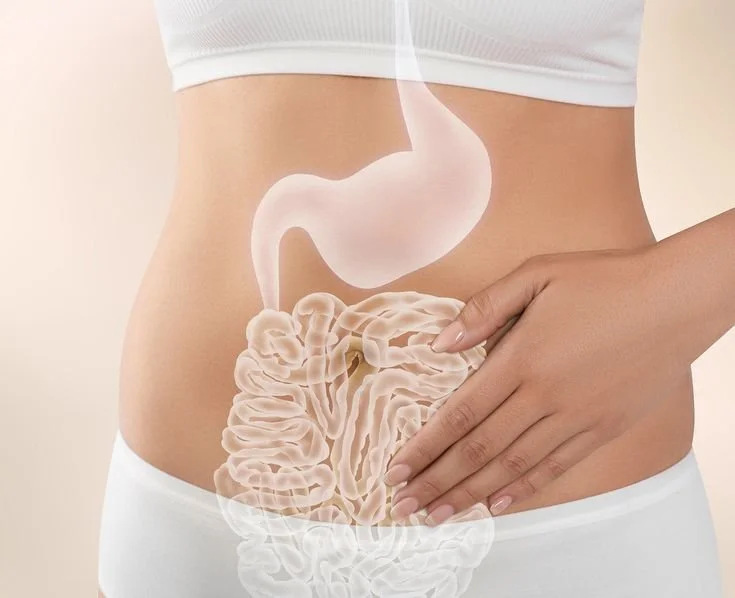 A woman with a digital overlay of her digestive system, highlighting her stomach and intestines.