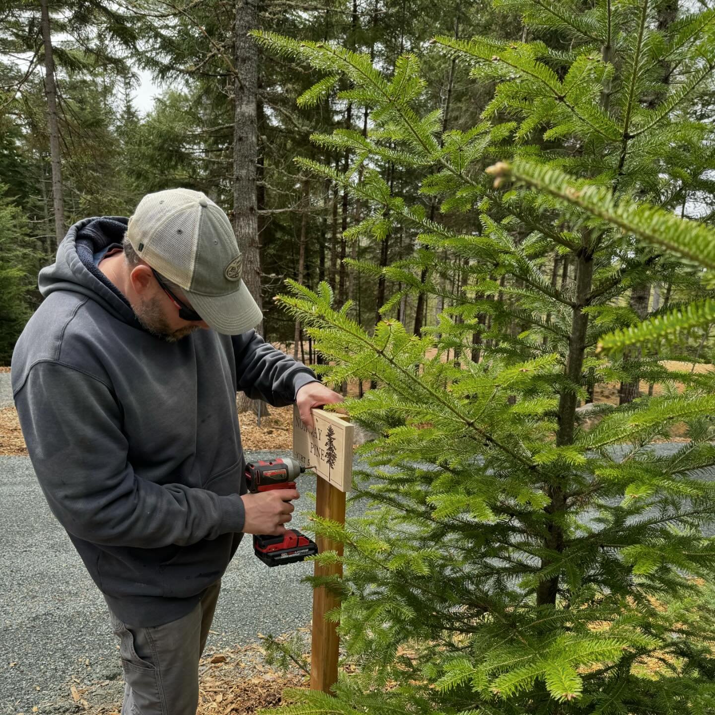 Josh has been working hard, doing all that he can, to help with getting ready to open this summer. So thankful for him! 

#familyownedandoperated #yurts #grandopening #comingsoon #barharbormaine