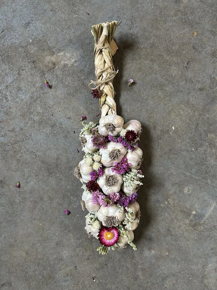 #35-36 Sugar Plum Garlic Braid